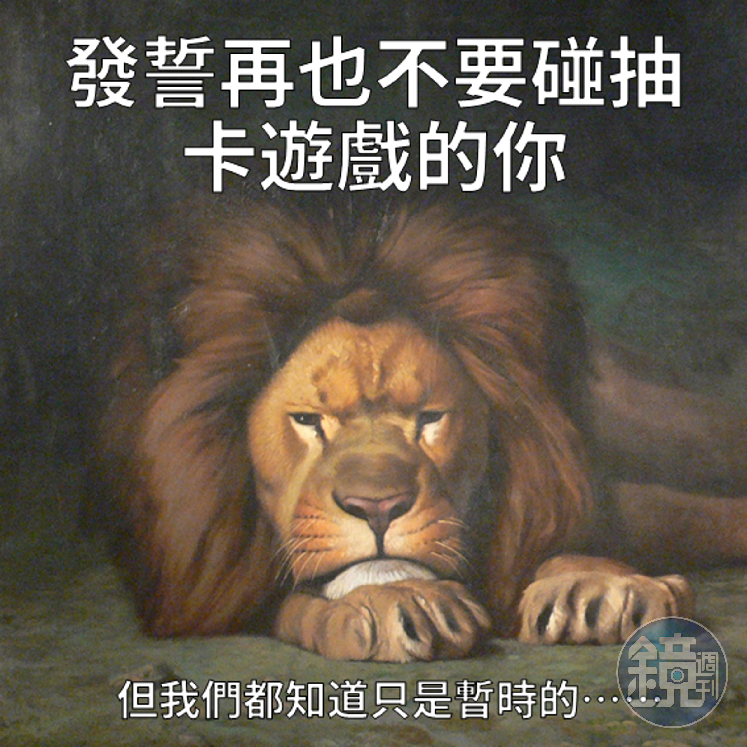 再碰我就剁手手......喔！又有新活動耶！