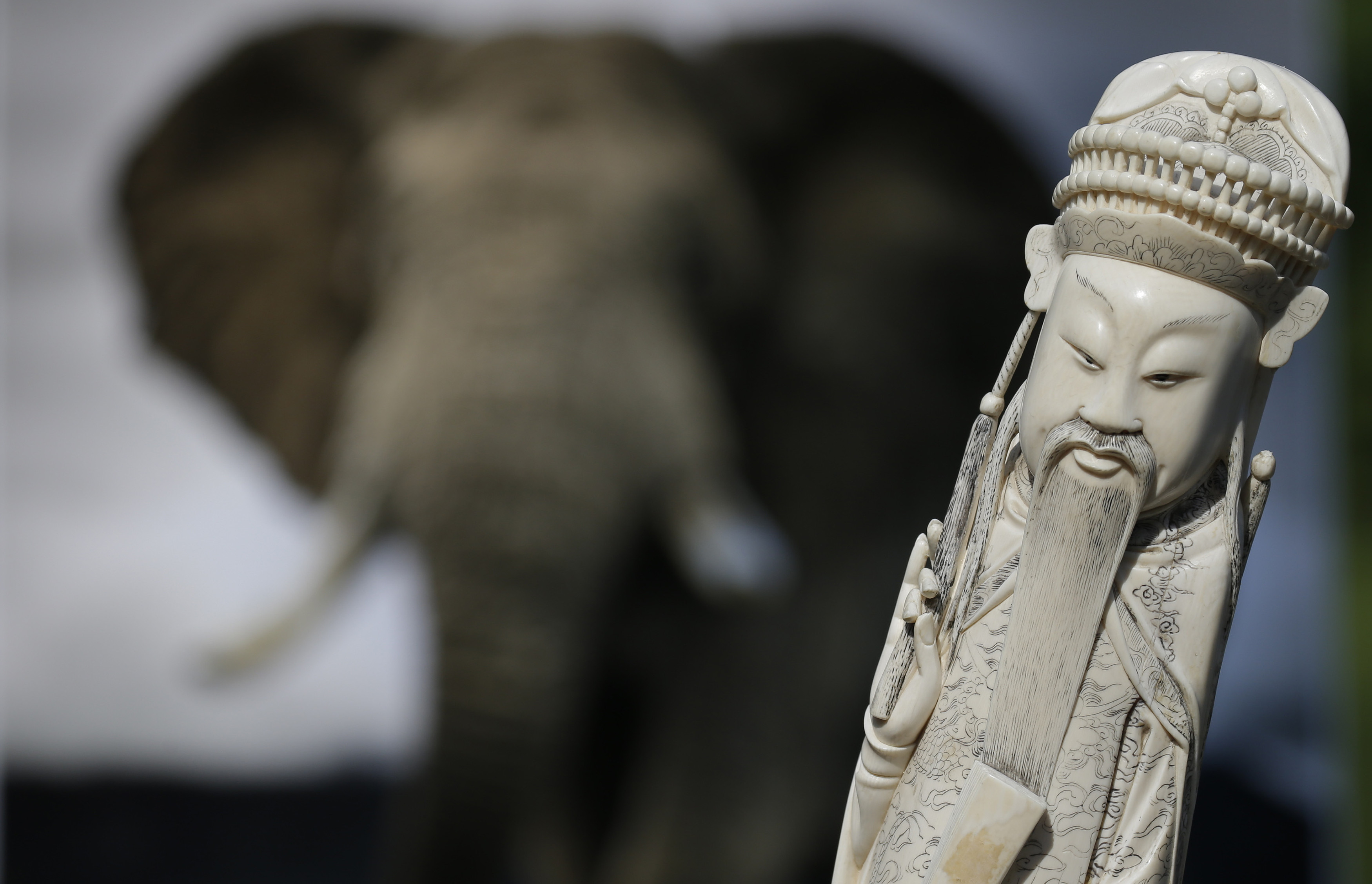 2017年，紐約市當局與保育組織和珠寶業者聯手發起銷毀象牙製品活動。非法走私野生動物商品如今在許多國家被列為重罪。（東方IC）