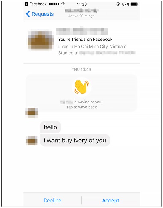 臉書的通訊（Messenger）功能，成了非法野生動物交易愛用的平台。（截圖自Wired）