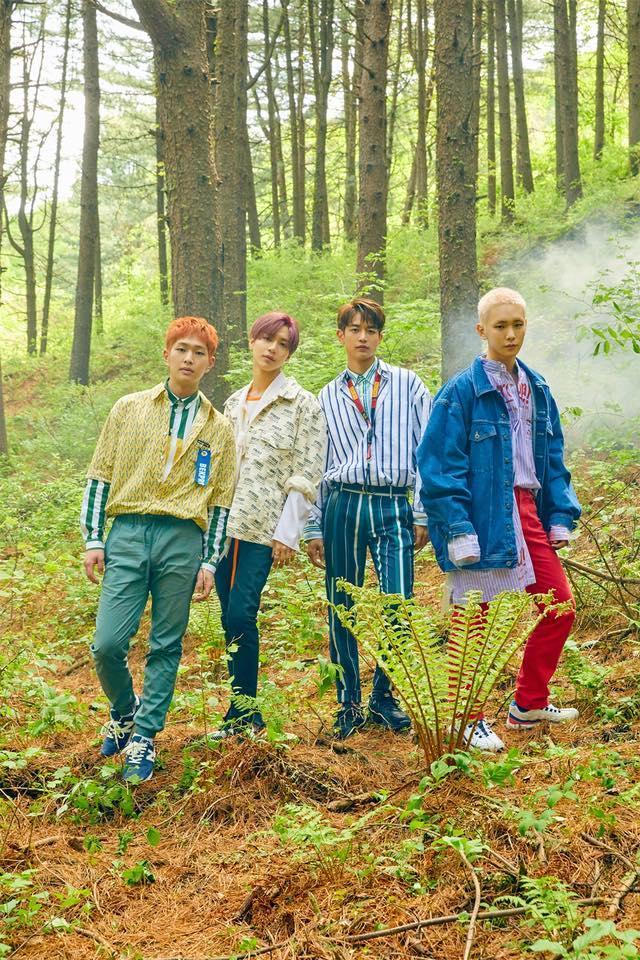 SHINee最新主打曲〈I Want You〉充滿夏日氣氛。(翻攝自SHINee臉書)