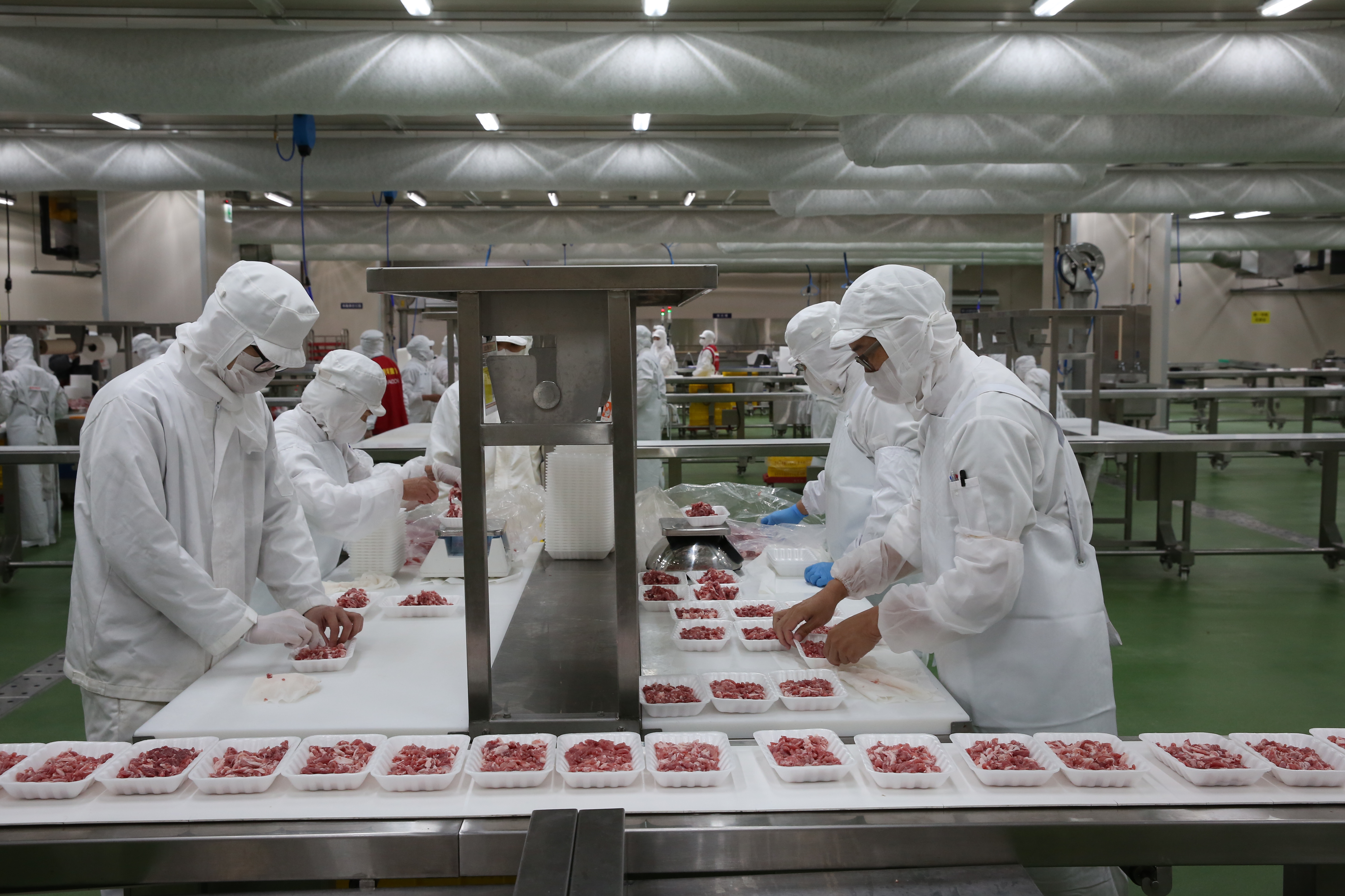 全聯五股生鮮處理中心首次在鏡頭前曝光，由於占地1,800坪，號稱全台最大冰箱。