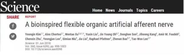 論文地址：http://science.sciencemag.org/content/360/6392/998