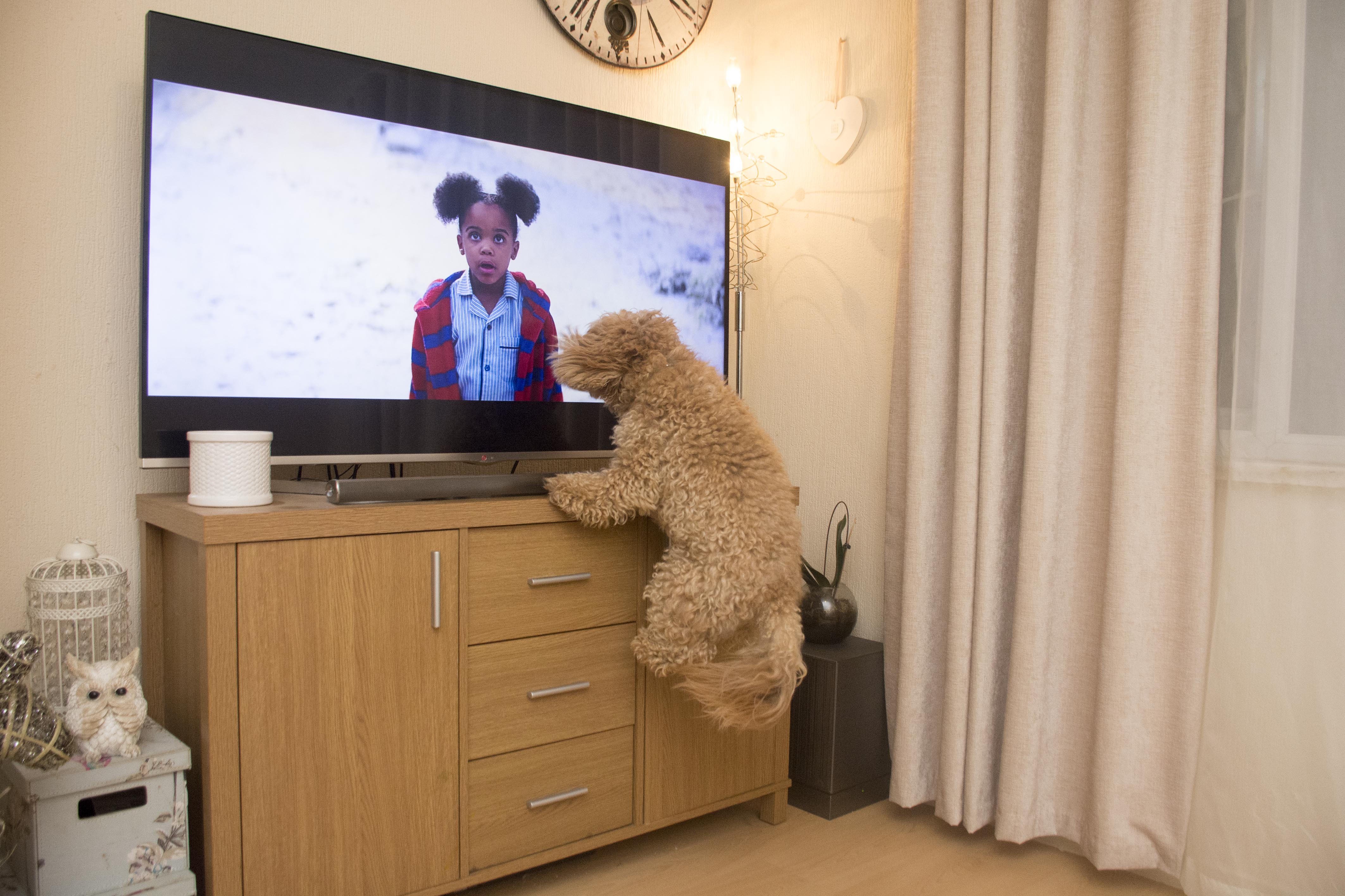 「追劇」(binge watching)是牛津字典最新收錄詞彙之一。(東方IC)