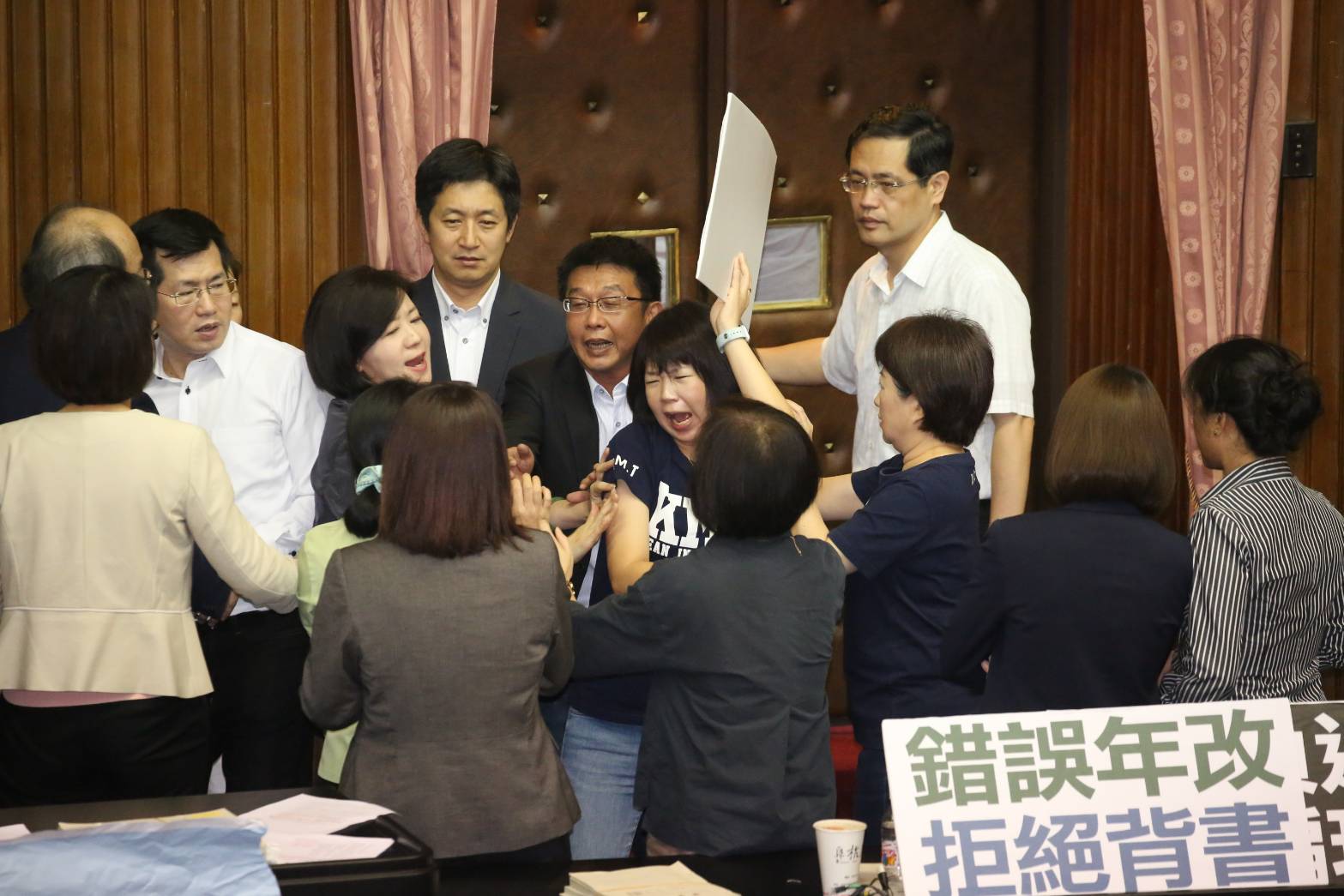 藍委林麗蟬被綠委陳賴素美拉扯，林發出尖叫。