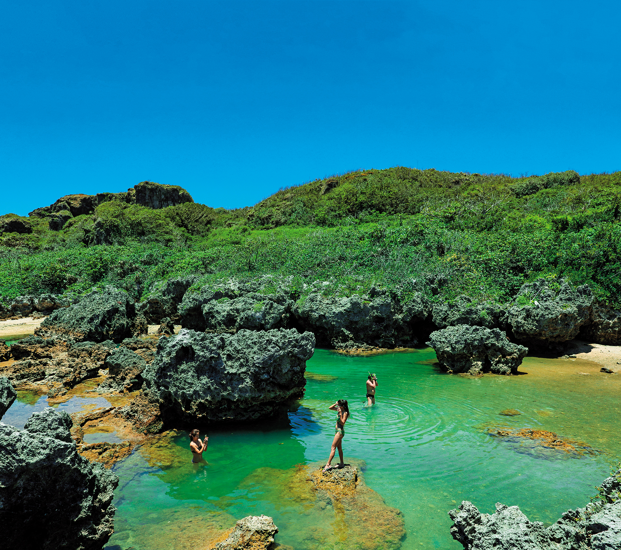 後壁湖的珊瑚礁群間，藏有不少浮潛祕境。