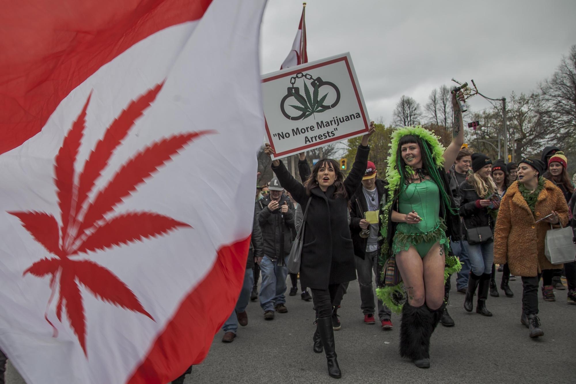 2017年5月6日,加拿大多倫多的「全球大麻遊行」,支持者上街頭主張全球團結推揚和教育大眾認識大麻文化。(東方IC)