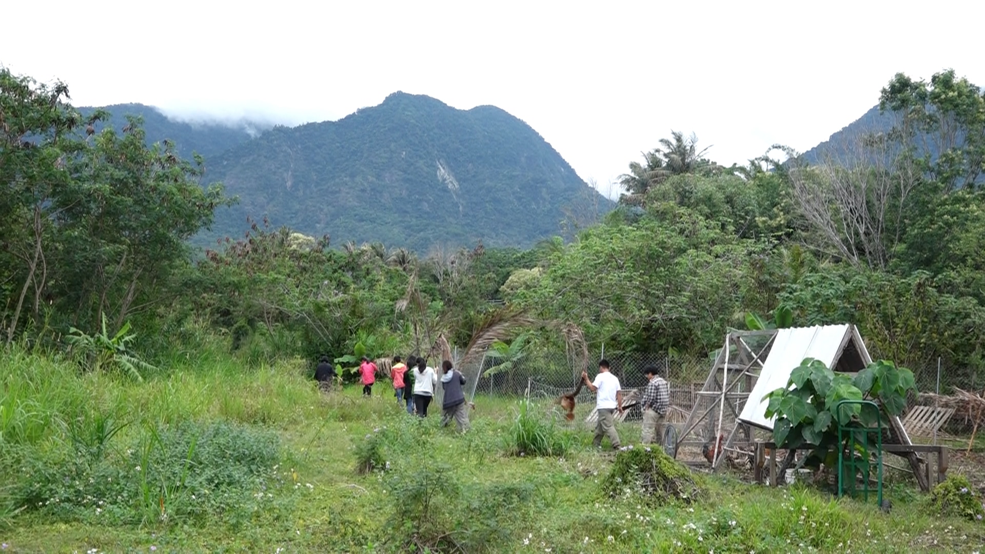 大地旅人在台東都蘭打造了樸門學習基地，依山傍海，充滿了山海能量，盎然綠意，讓人心曠神怡。