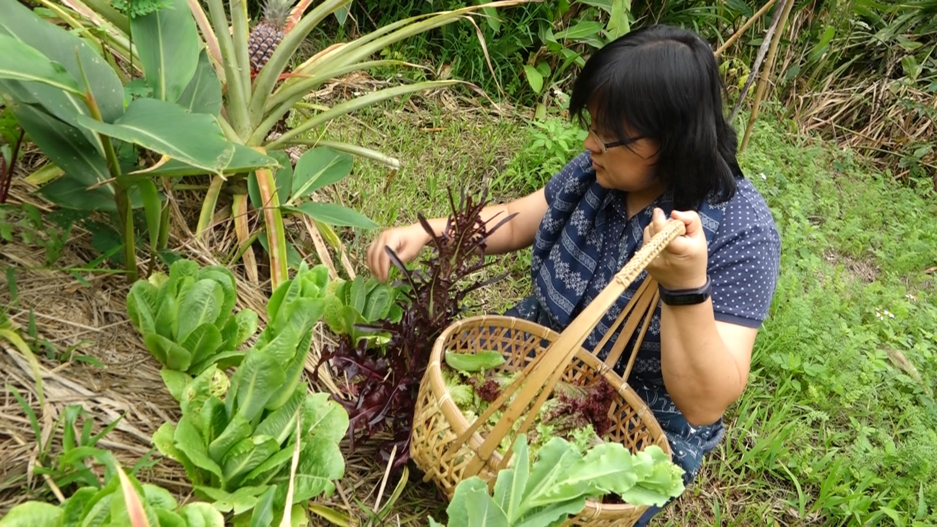 大地旅人的前學員檸檬特地從台北來到樸門台東教育基地，協助課程進行期間的廚房工作。需要生菜時，走幾步到菜園裡採摘即可。