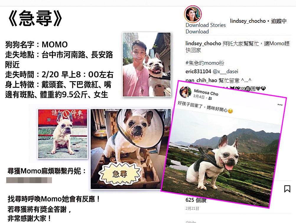 今年2月威廉的愛犬Momo走失,卓君澤急忙轉貼協尋啟事,3月初Momo尋回,她還在臉書po照開心自稱「媽咪」。(大圖翻攝自卓君澤IG,小圖為讀者提供)