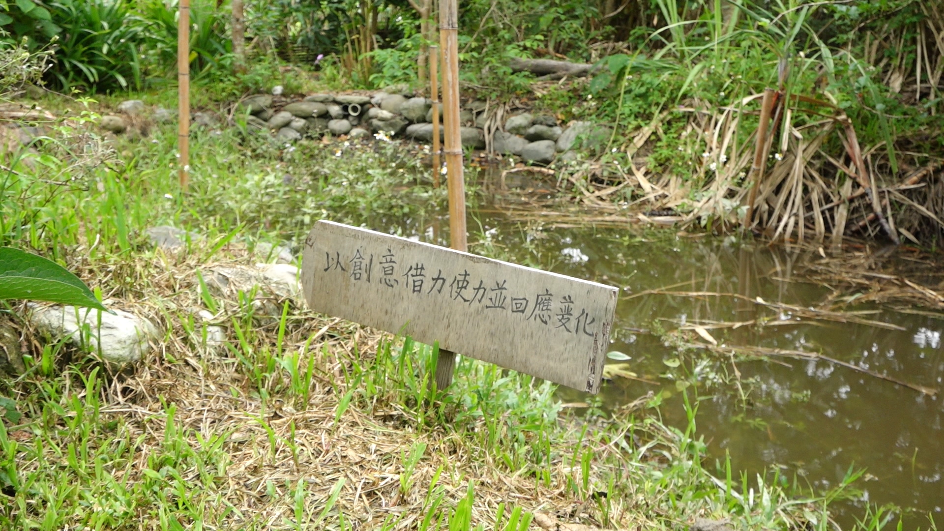 基地裡蛙鳴不絕於耳，拜這些青蛙之賜，即使有水池，卻很少見到蚊蟲。