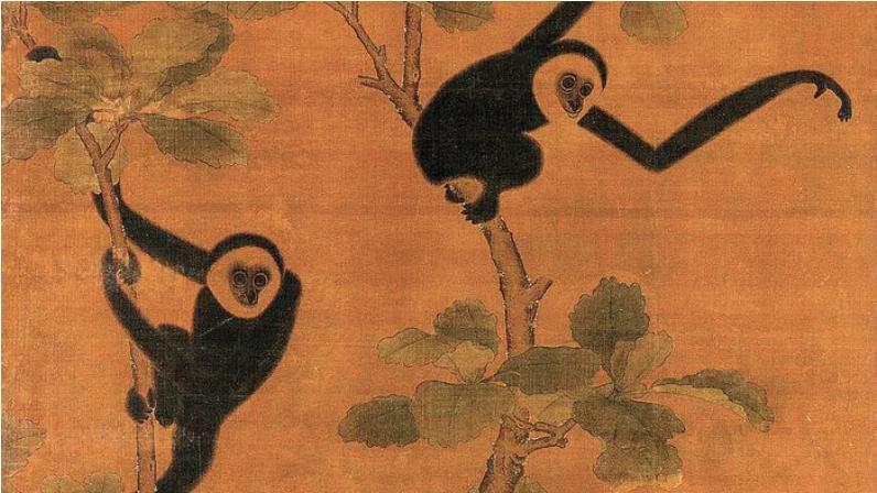 長臂猿在中國古典藝術品（如15世紀的繪畫作品）中是常見主題。