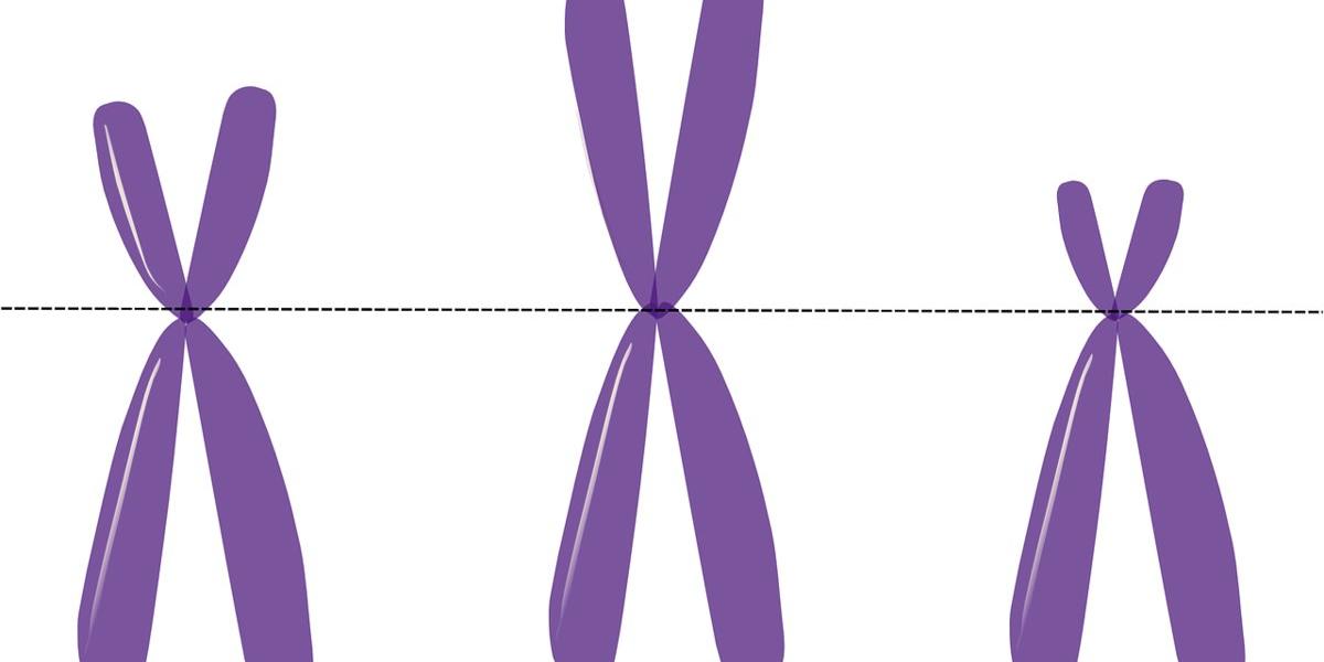 CRISPR-Gold 技術　減輕小鼠自閉症症狀