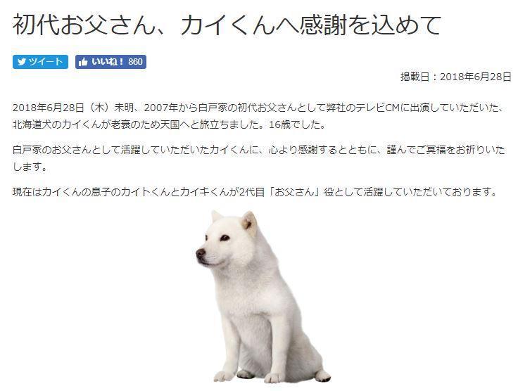 白戶家的爸爸,狗明星「海君」在 28 日早上離世。(翻攝自 Softbank 官網)