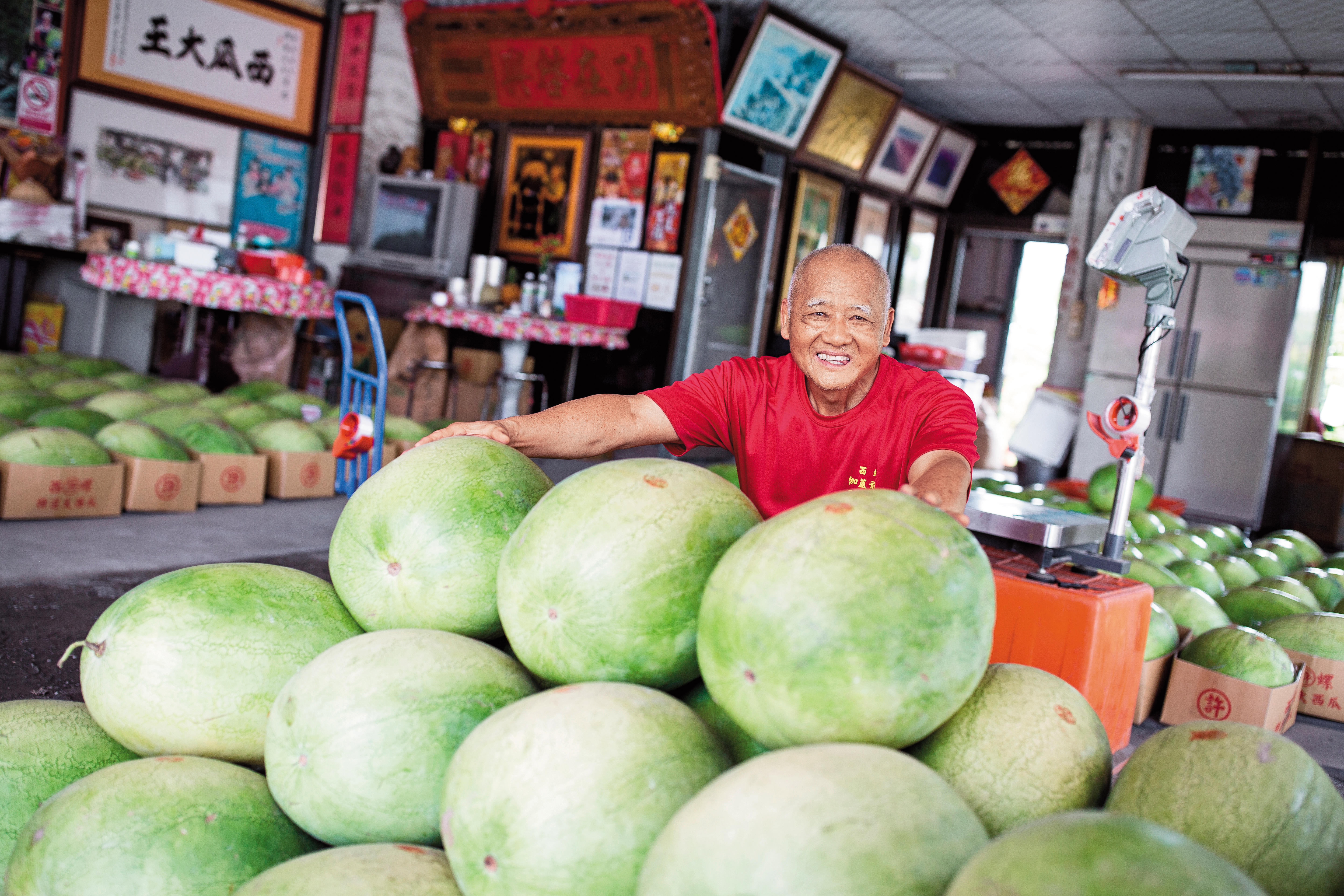 西瓜許老闆許東水賣西瓜51年，但因只賣第1期特選西瓜，有時1年甚至只賣1個月。