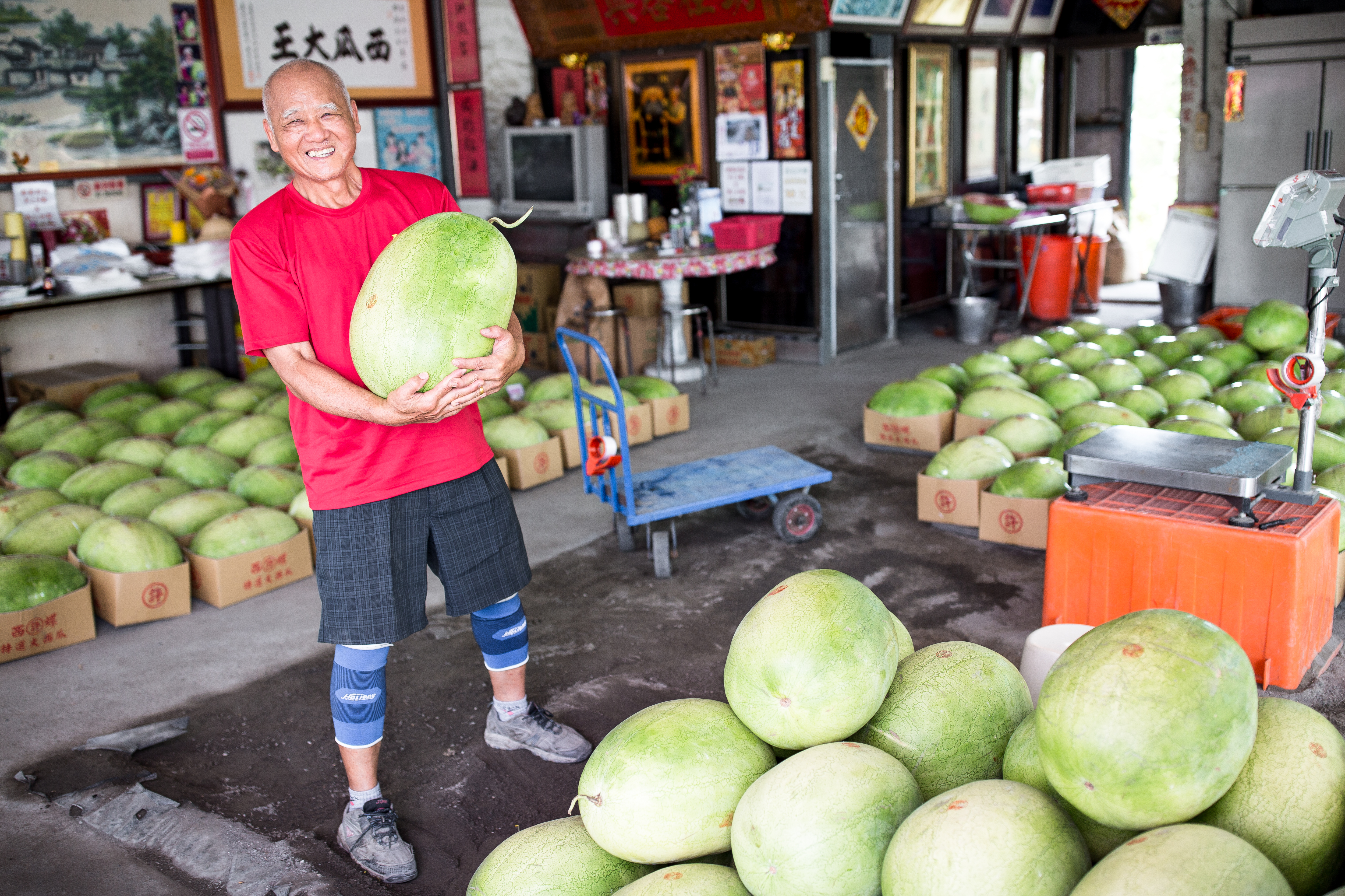 西瓜許老闆許東水賣西瓜51年,但因只賣第1期特選西瓜,有時1年甚至只賣1個月。