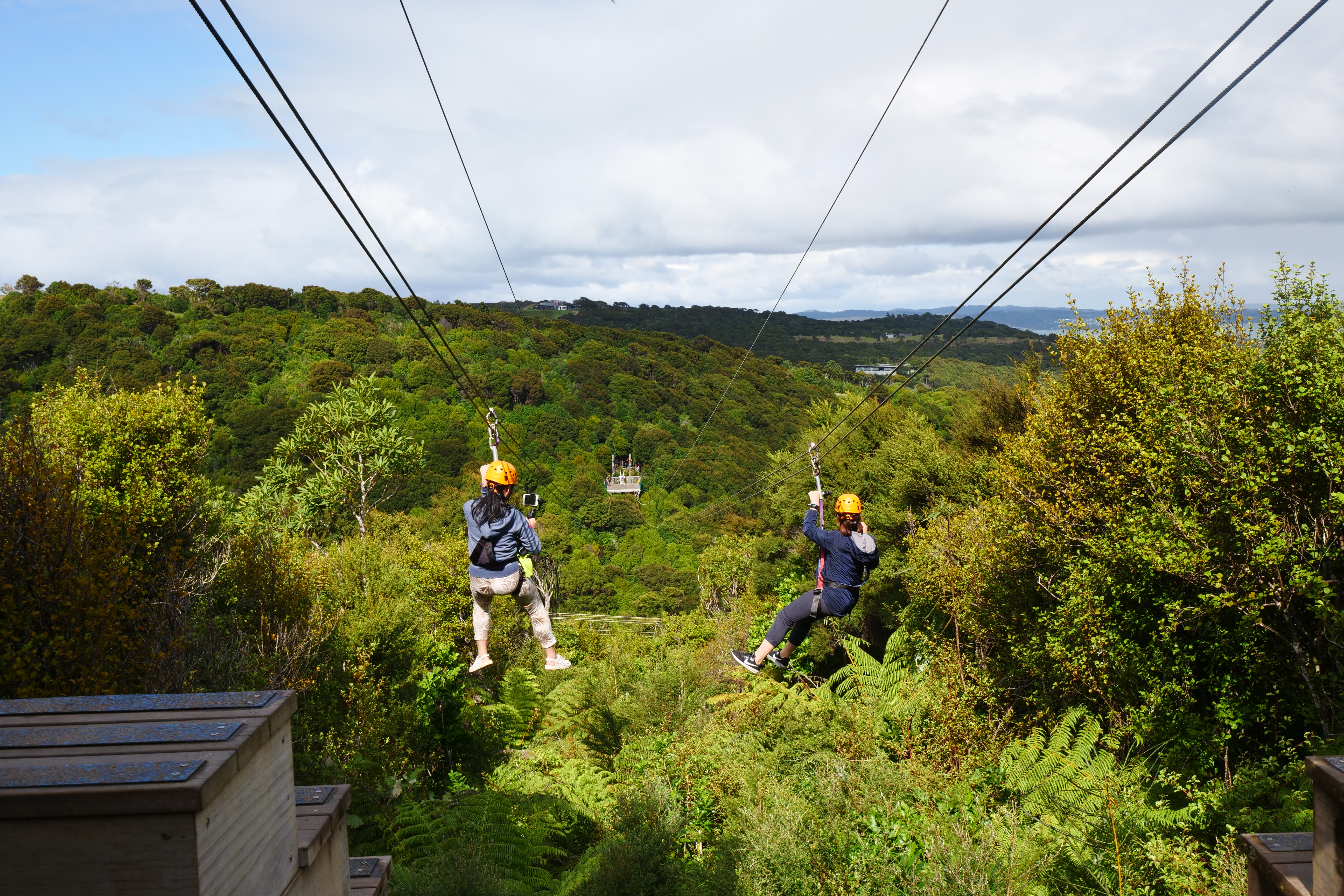 刺激的高空滑索，能夠360度、無死角地欣賞紐西蘭Waiheke Island的山海美景。