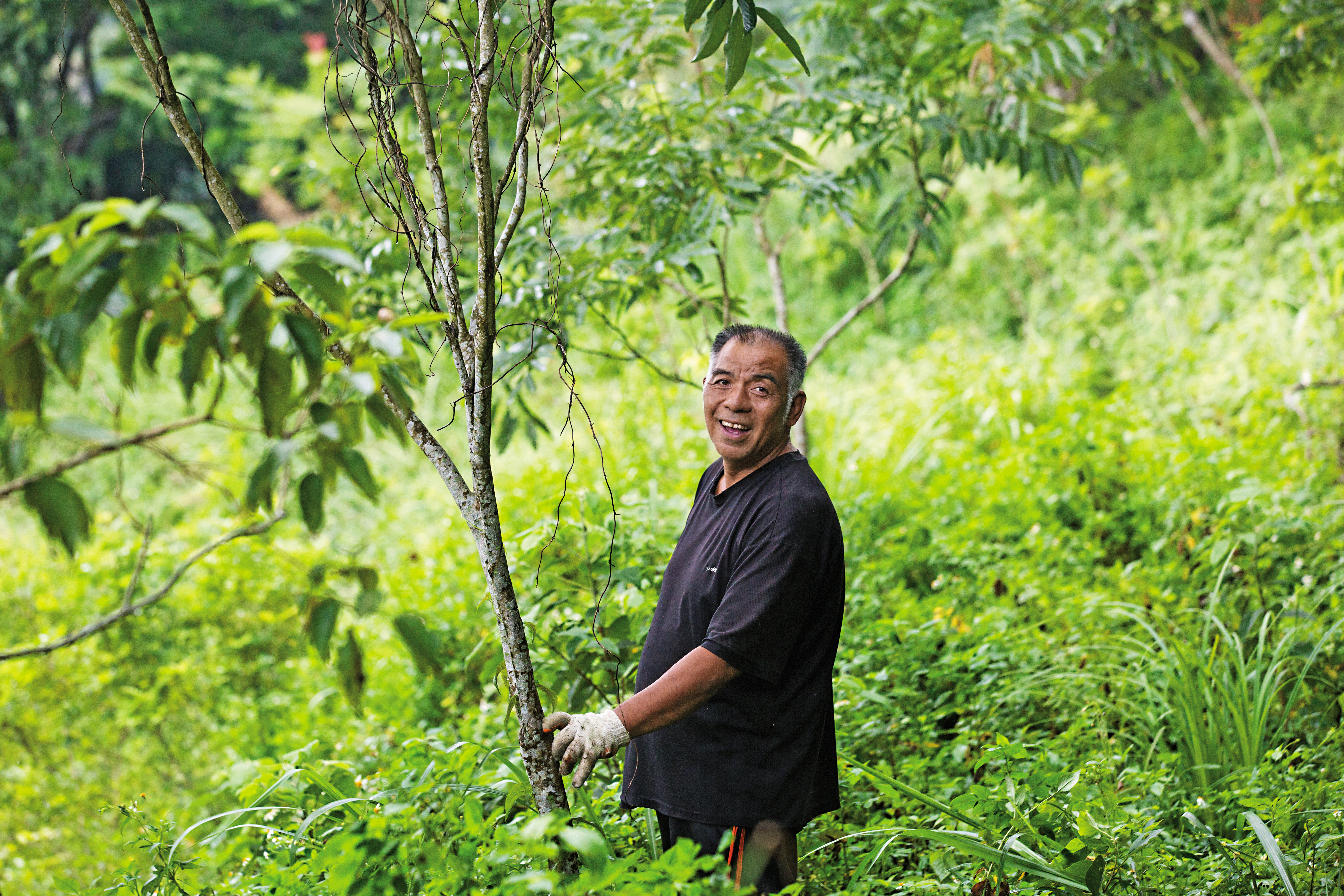 魯凱族人宋文生出身屏東縣霧台鄉神山部落，復育台灣原生種樹林20餘年。