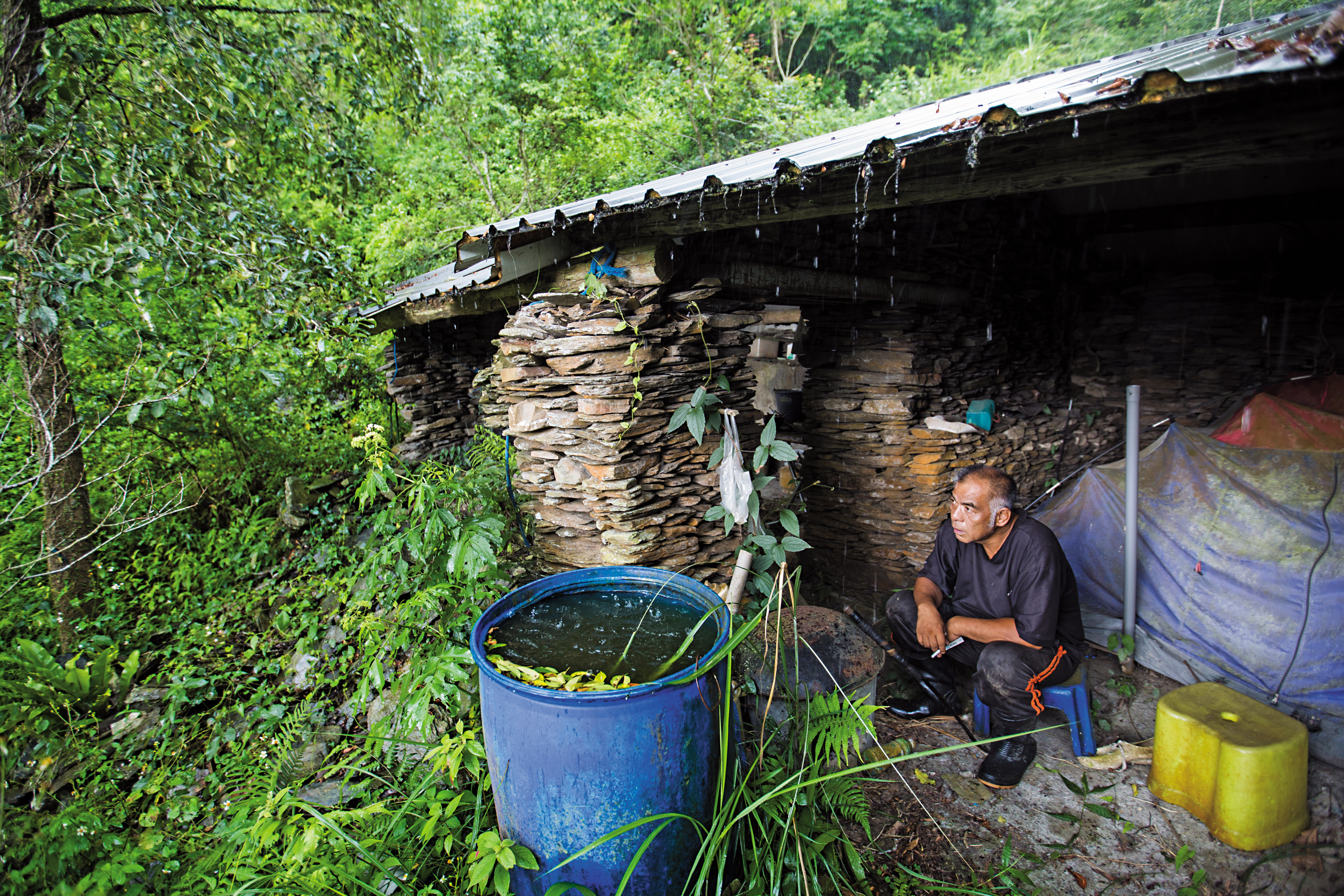 宋文生在山上搭建工寮，照顧樹木時，他晚上就在這裡搭帳篷。