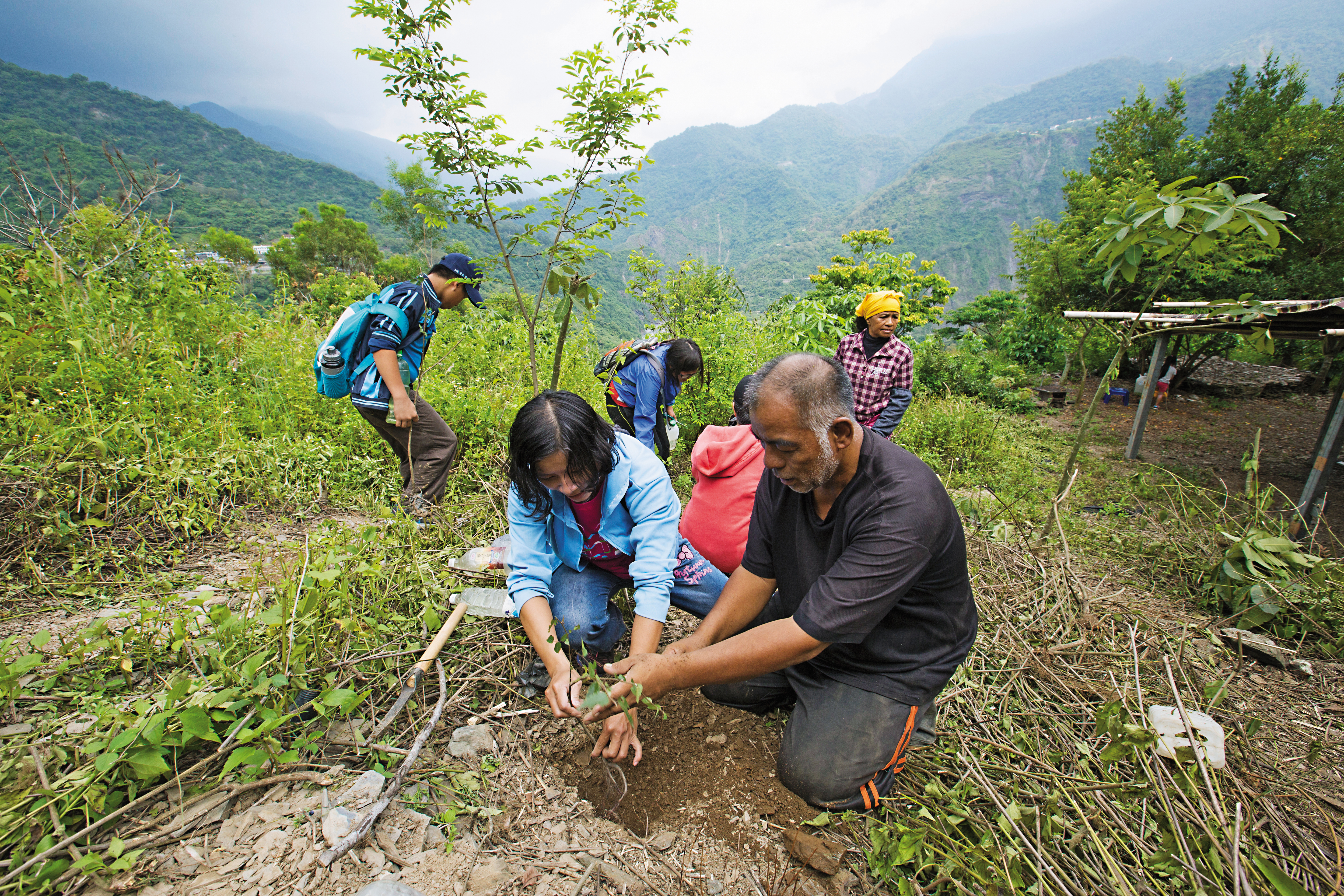 發起群眾募資、一人一樹認養計畫，宋文生希望藉此帶動更多人知道山林的重要。