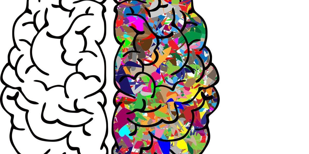在訓練中,每一場比賽地圖都會不同。因此,智慧體不得不學習一種通用的策略,而不是記住特定的地圖或技巧。