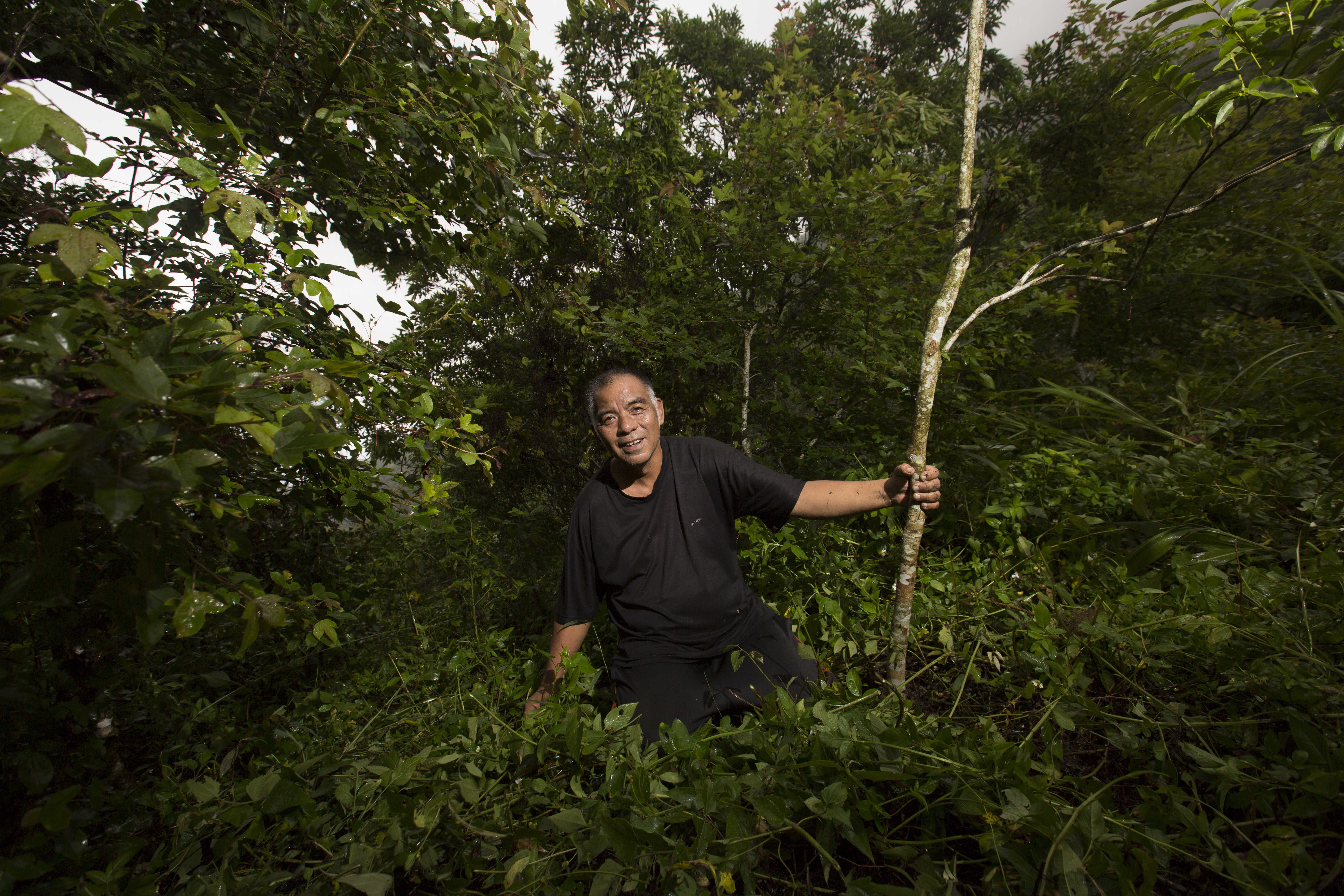 顧好獵場是原住民傳統社會對獵人的基本要求。
