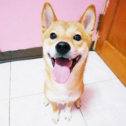 Sunny 玉照。（李小巨提供）