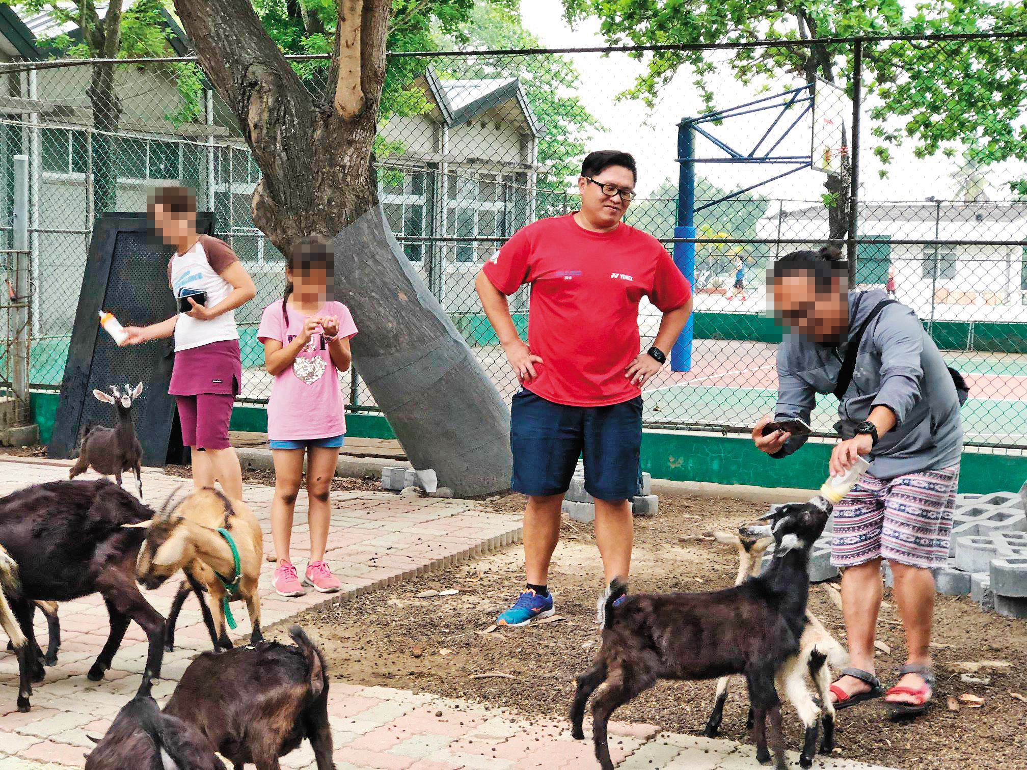 山上國中飼養十幾隻山羊幫忙除草，江宇倫將飼養過程當成生命教育，導正行為偏差學生，獲得不少好評。（翻攝自江宇倫臉書）
