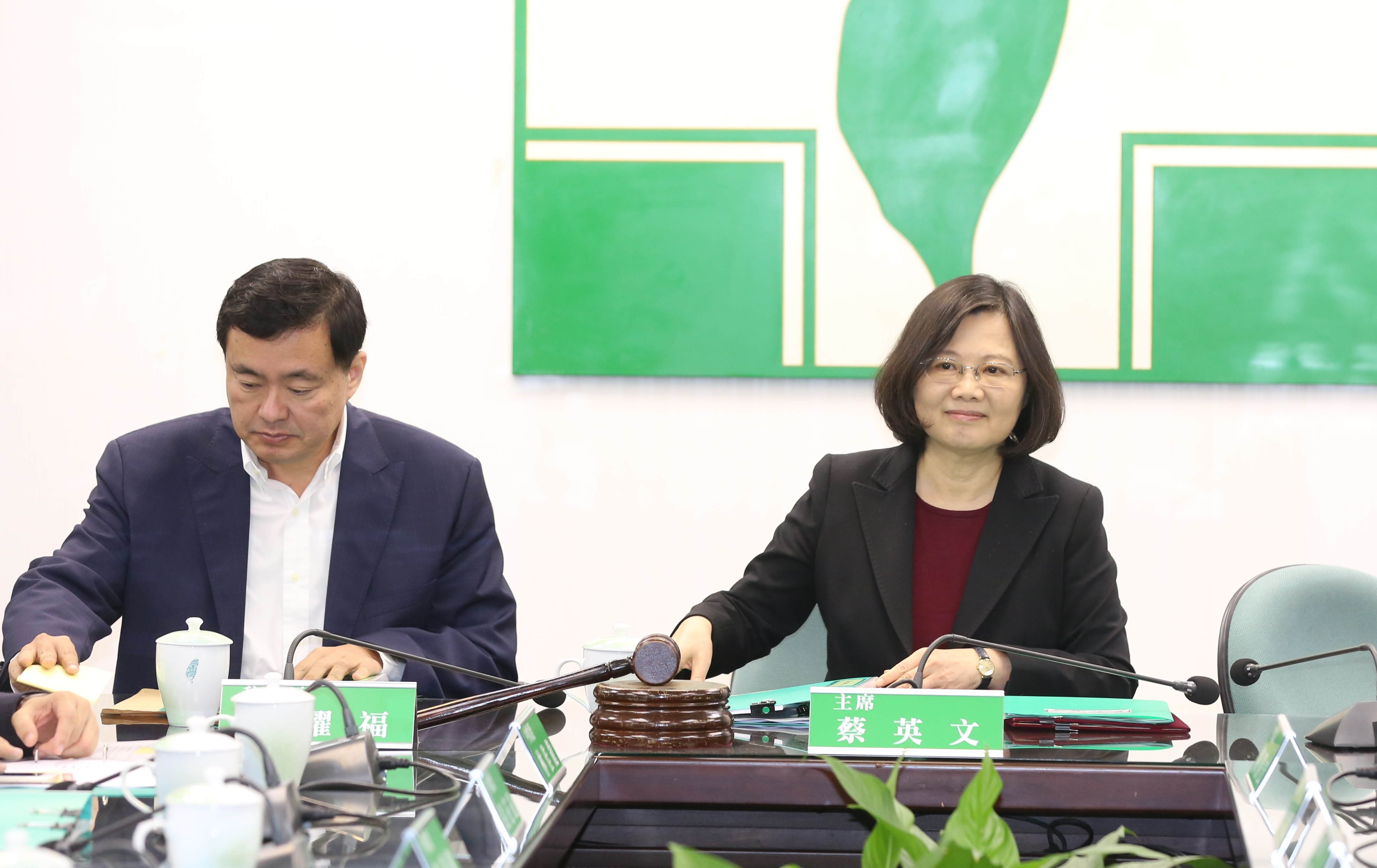 蔡英文希望立委能成為年底選戰宣傳執政黨改革政績的第一線戰將。