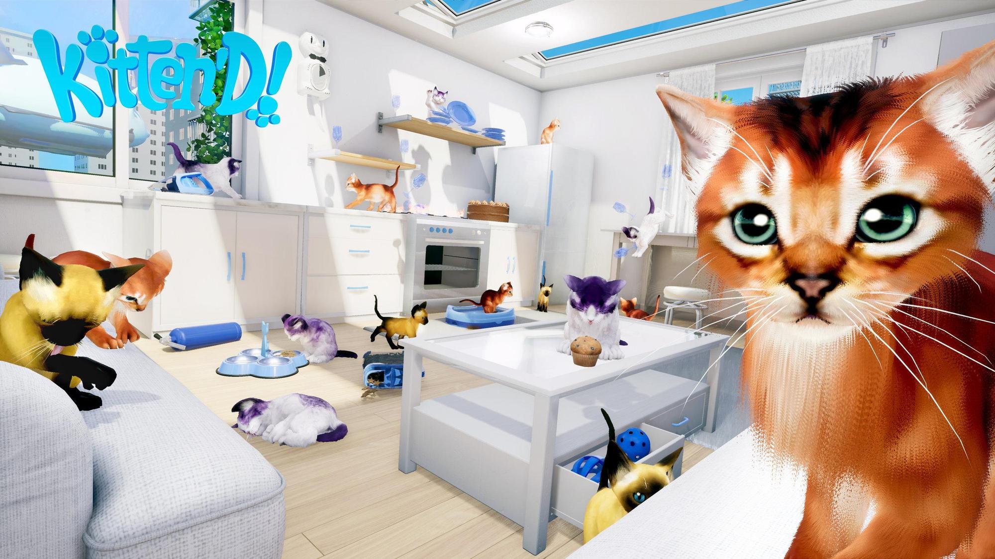 VR 養貓模擬器遊戲(圖片來源:官網)