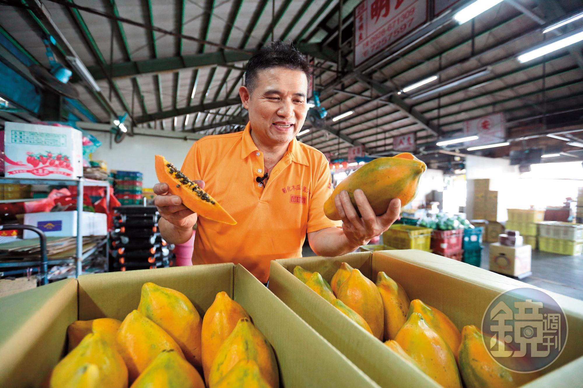 從小跟著父親赴果菜市場選貨，盧信彰專挑比較粉質、果肉厚實的大粒木瓜。
