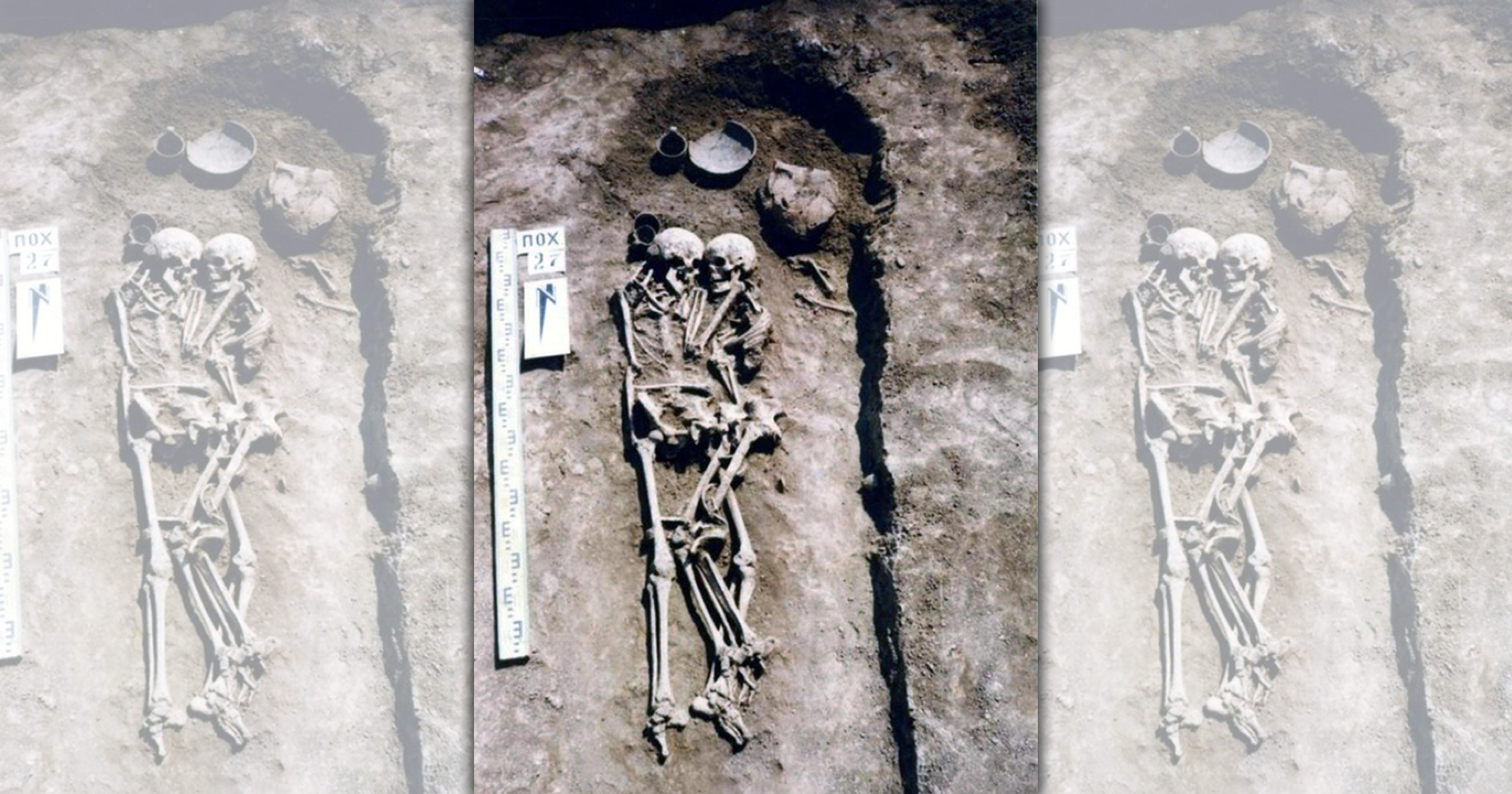 （圖片來源／太陽報）