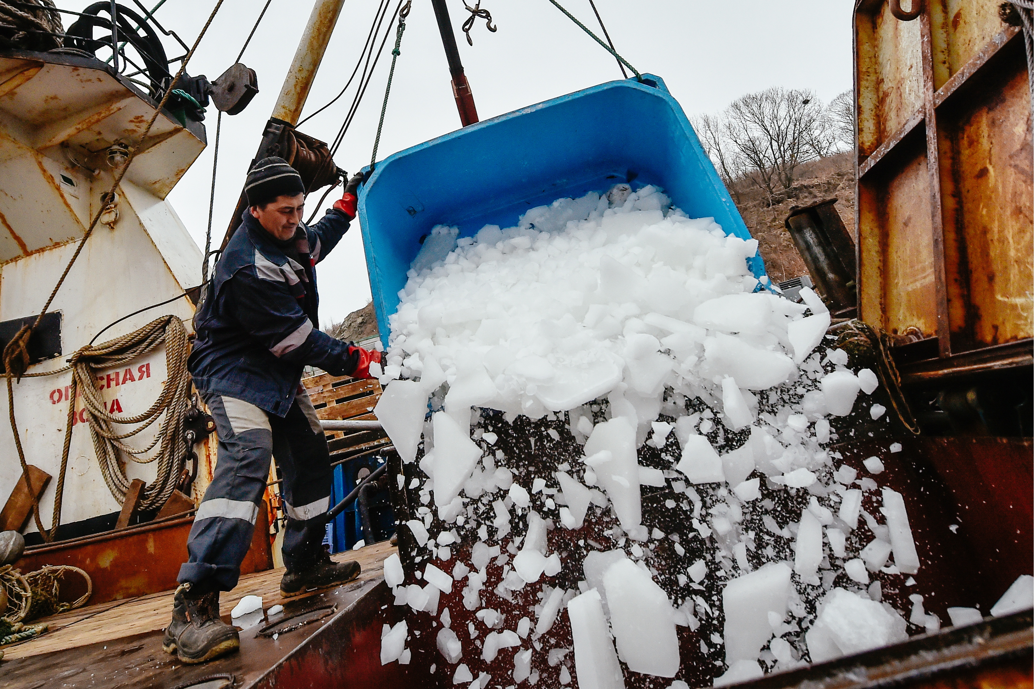 圖片來源／東方IC