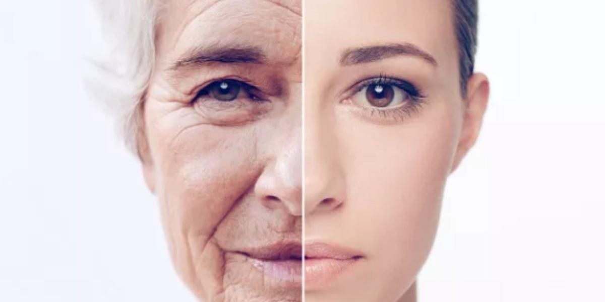 科學家又有抗衰老新思路：「消滅」會傳染衰老的老齡細胞