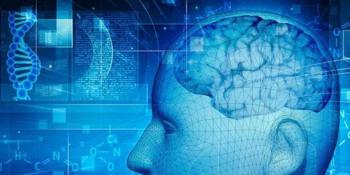 AI 也會「歧視」　弱勢群體處境恐更惡化