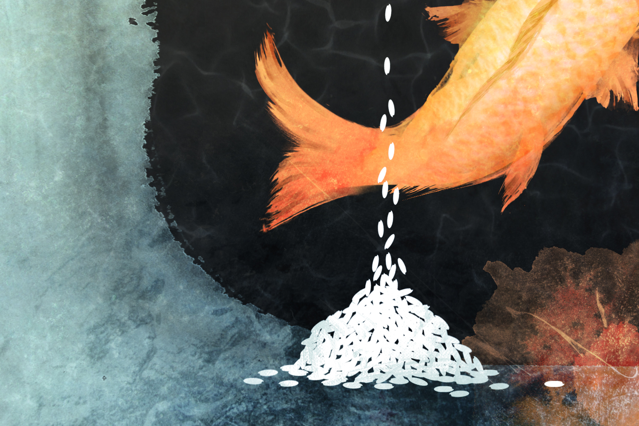 【陳栢青書評】老司機來了，大夥兒上車囉──葛亮《問米》