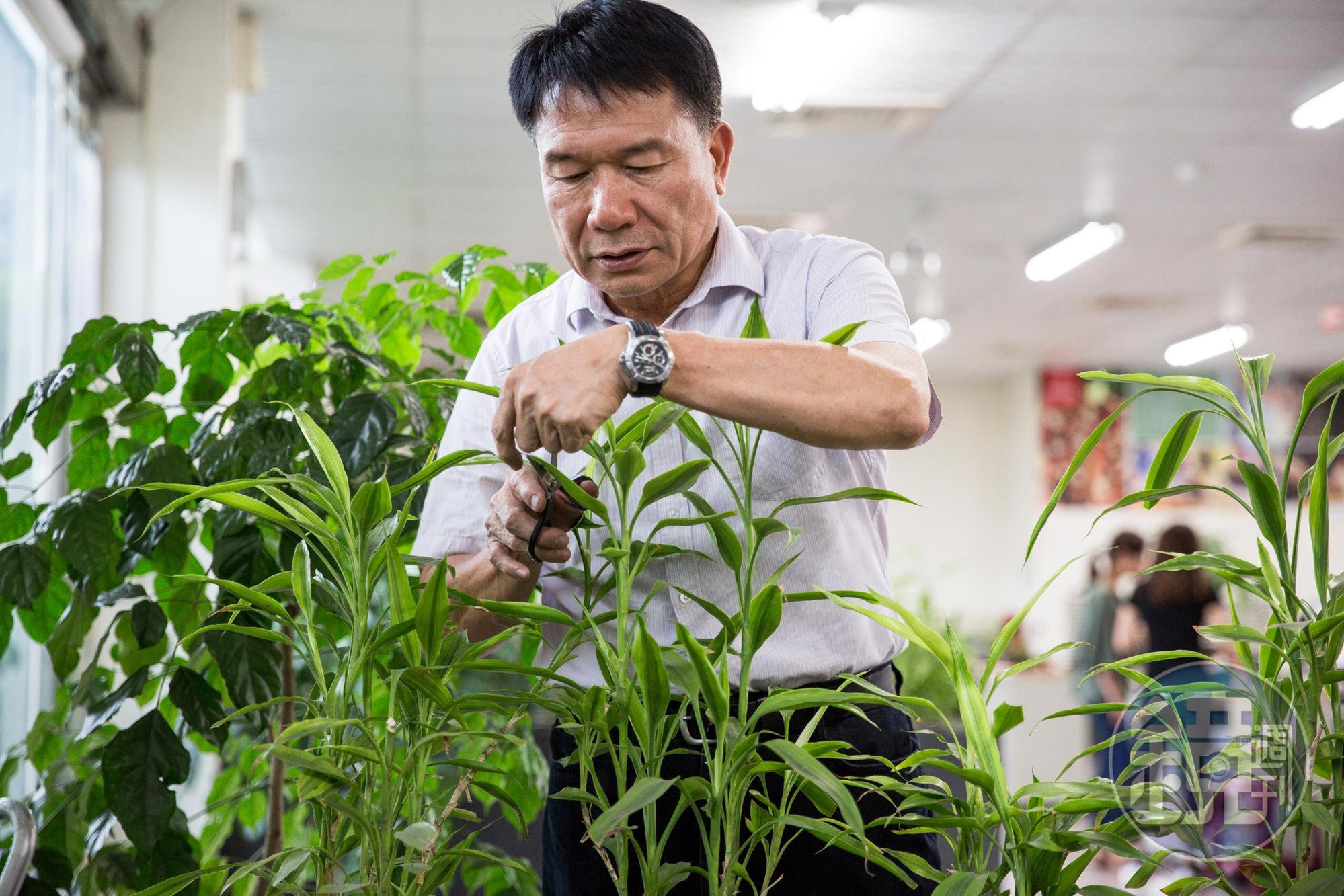 公事以外時間,徐和森最常出現在盆栽旁修修剪剪。