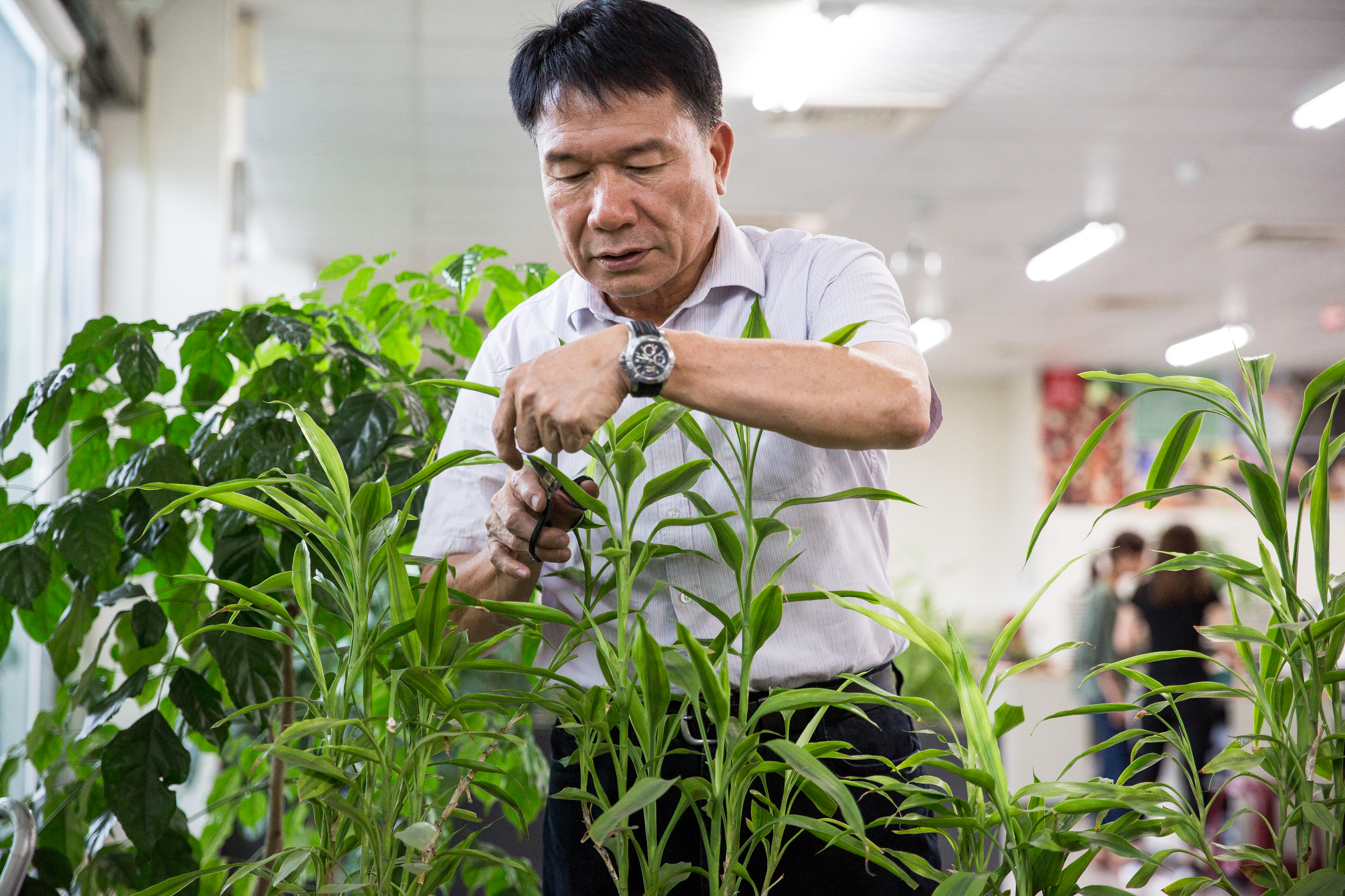 公事以外時間，徐和森最常出現在盆栽旁修修剪剪。