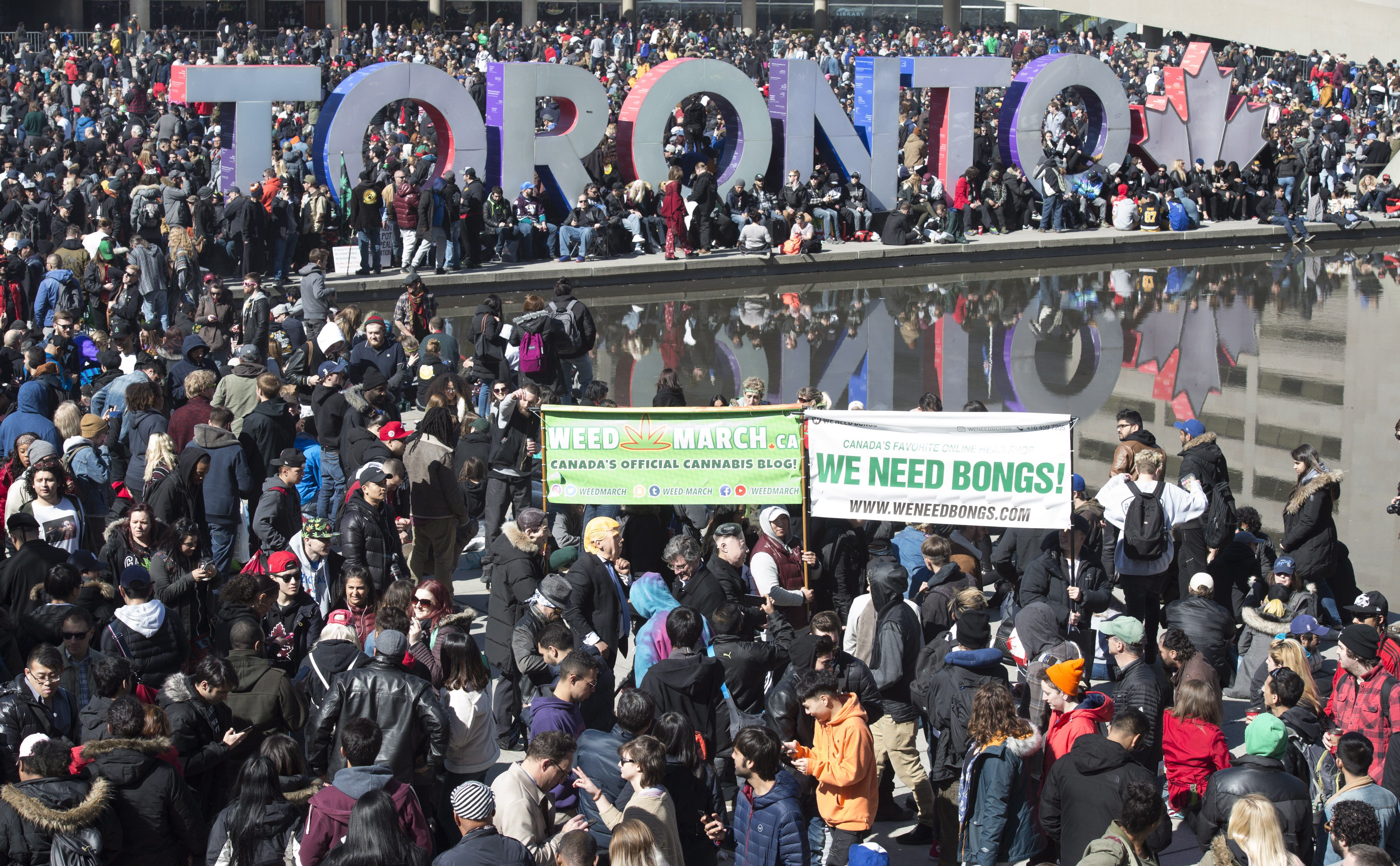 今年10月，加拿大將成為全球第二個娛樂用大麻合法化的國家。為搶攻商機，一公司研發出全球第一款直接由大麻釀造的啤酒。圖為4月間多倫多舉行的支持大麻大遊行。（東方IC）