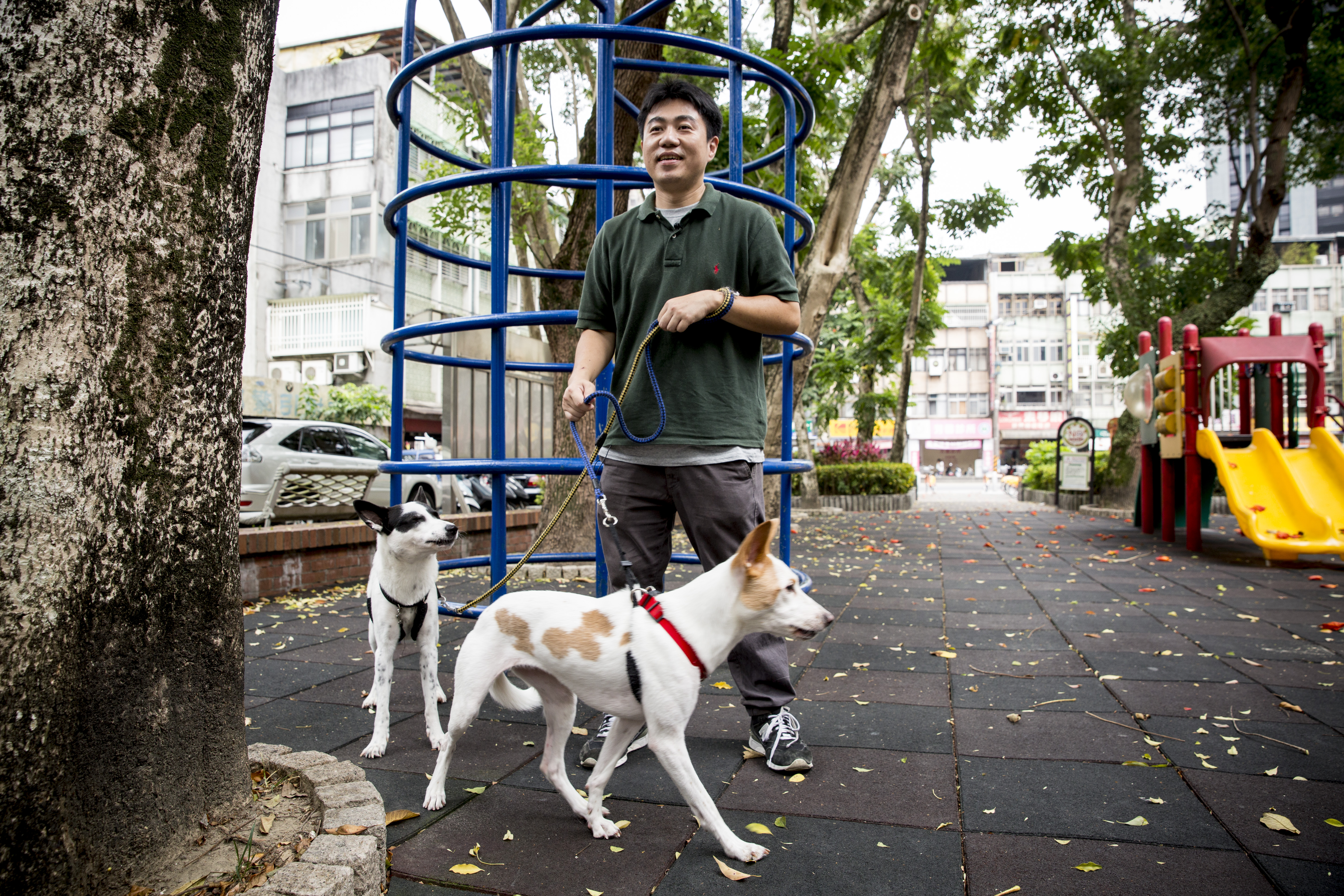 2歲的熊咩（左）和一歲的Luka（右）是林煒盛家中最不受控的2隻狗。