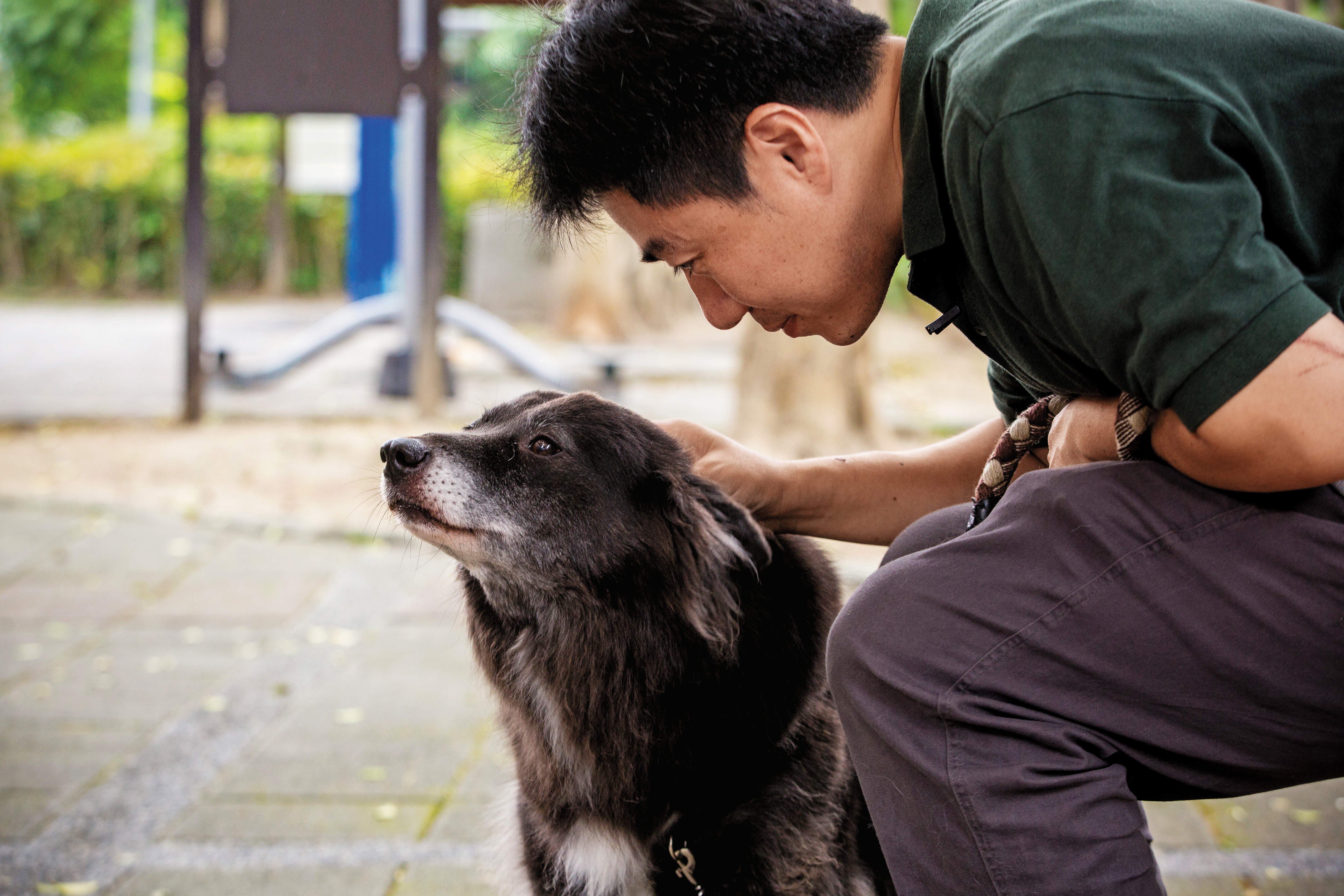 林煒盛相信動物有靈性，每天都會跟狗說話。圖為Bear。