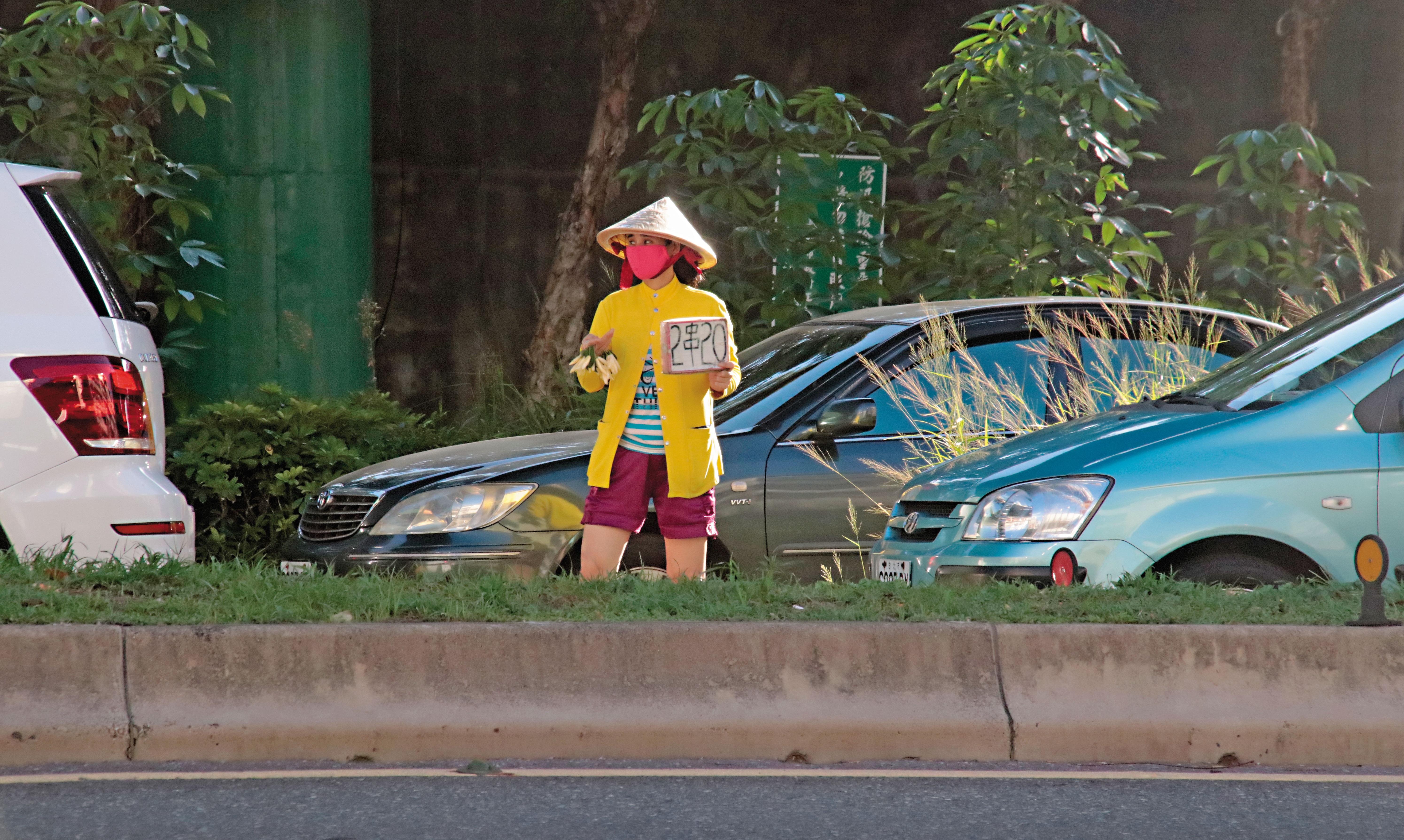 部分的越南小販會以低價促銷玉蘭花。