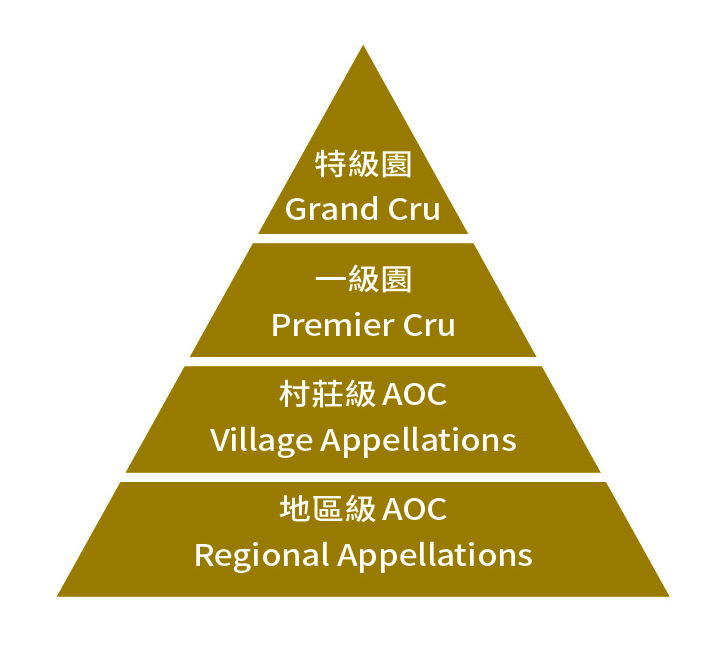 布根地葡萄酒依照分級制度又可分4種,從產地與產量多寡依序可分為地區級、村莊級、一級園、特級園,越接近金字塔頂端越為珍稀昂貴。