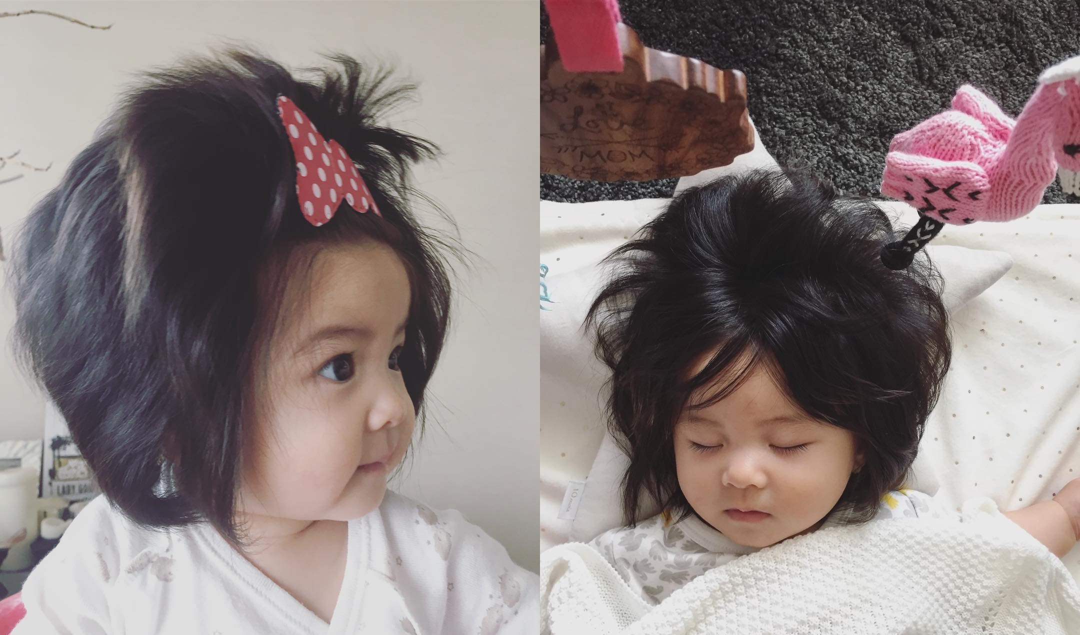 大批粉絲誇讚Chanco實在太乖太可愛。（翻攝自babychanco IG）