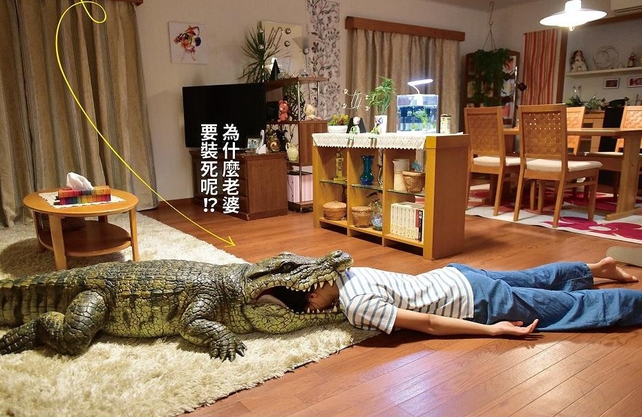 在爆笑電影《每天回家老婆都在裝死》中最搶戲的「幸福鱷魚」，受台灣片商邀請來台參與宣傳活動。（車庫娛樂提供）