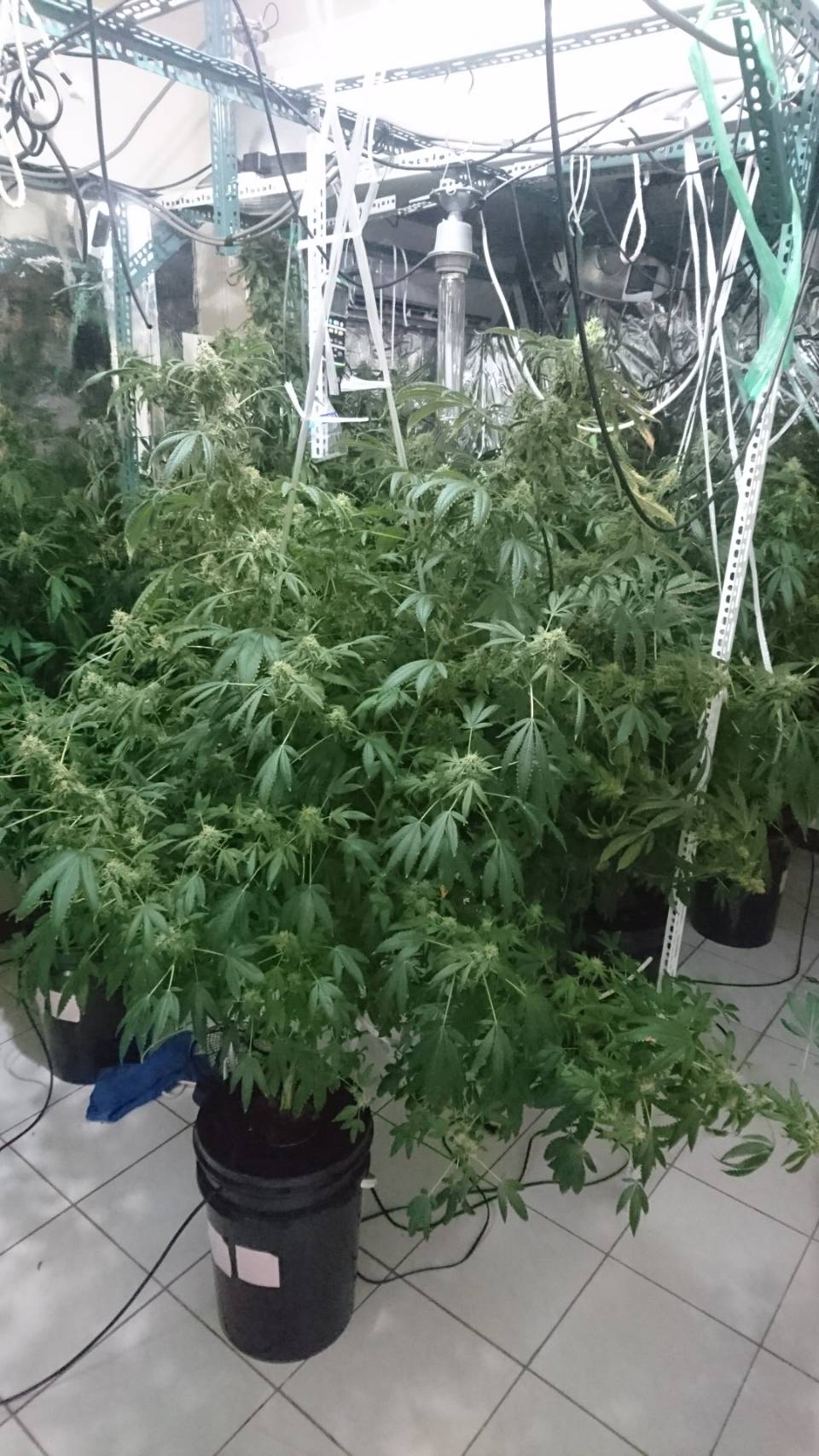 陳嫌自行架設各式水電系統，3天只需巡視一次即可。（刑事局提供）