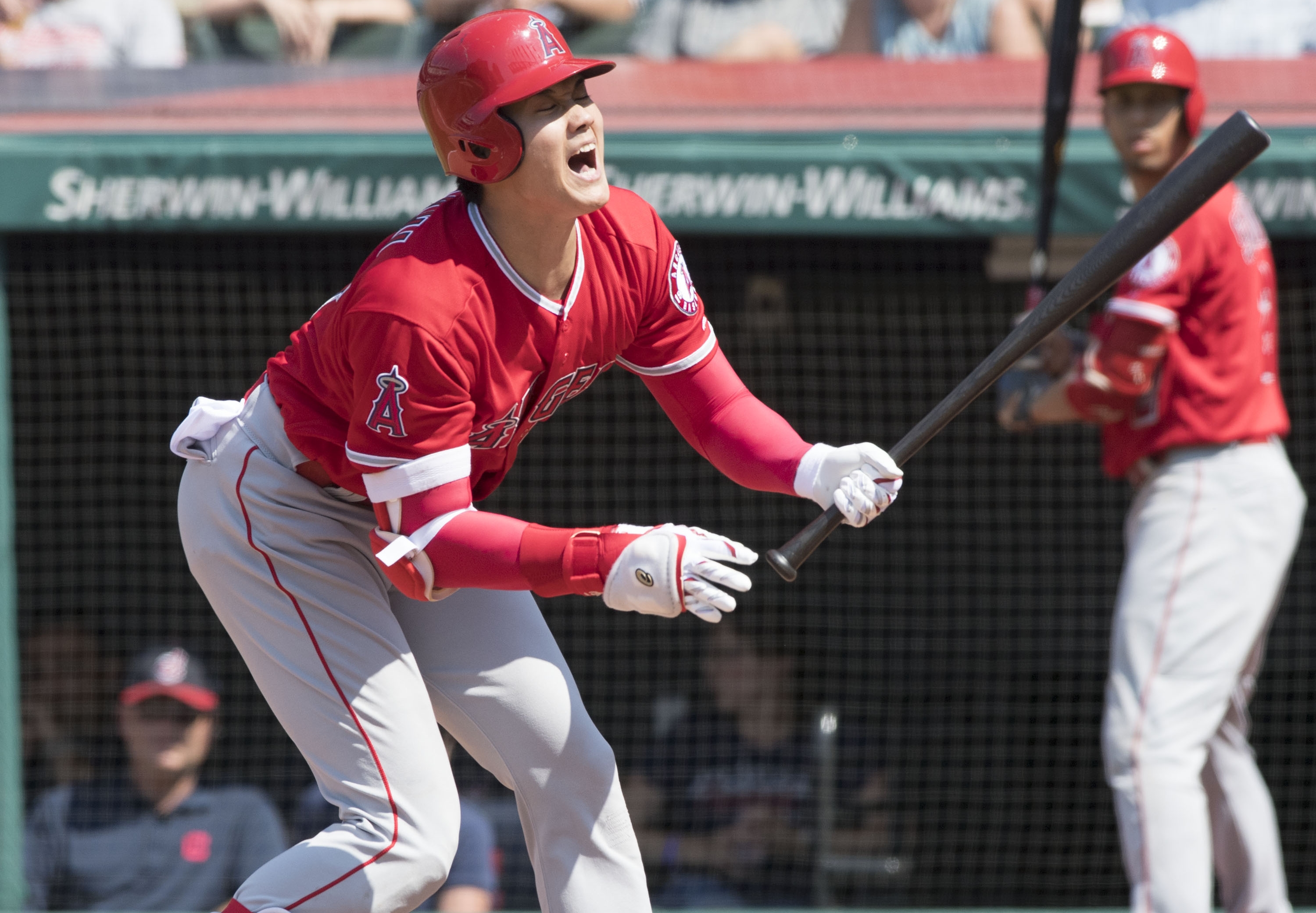 大谷翔平「中彈」後面露痛苦走上一壘，天使靠著這顆觸身球形成滿壘，可惜無功而返。（東方IC）