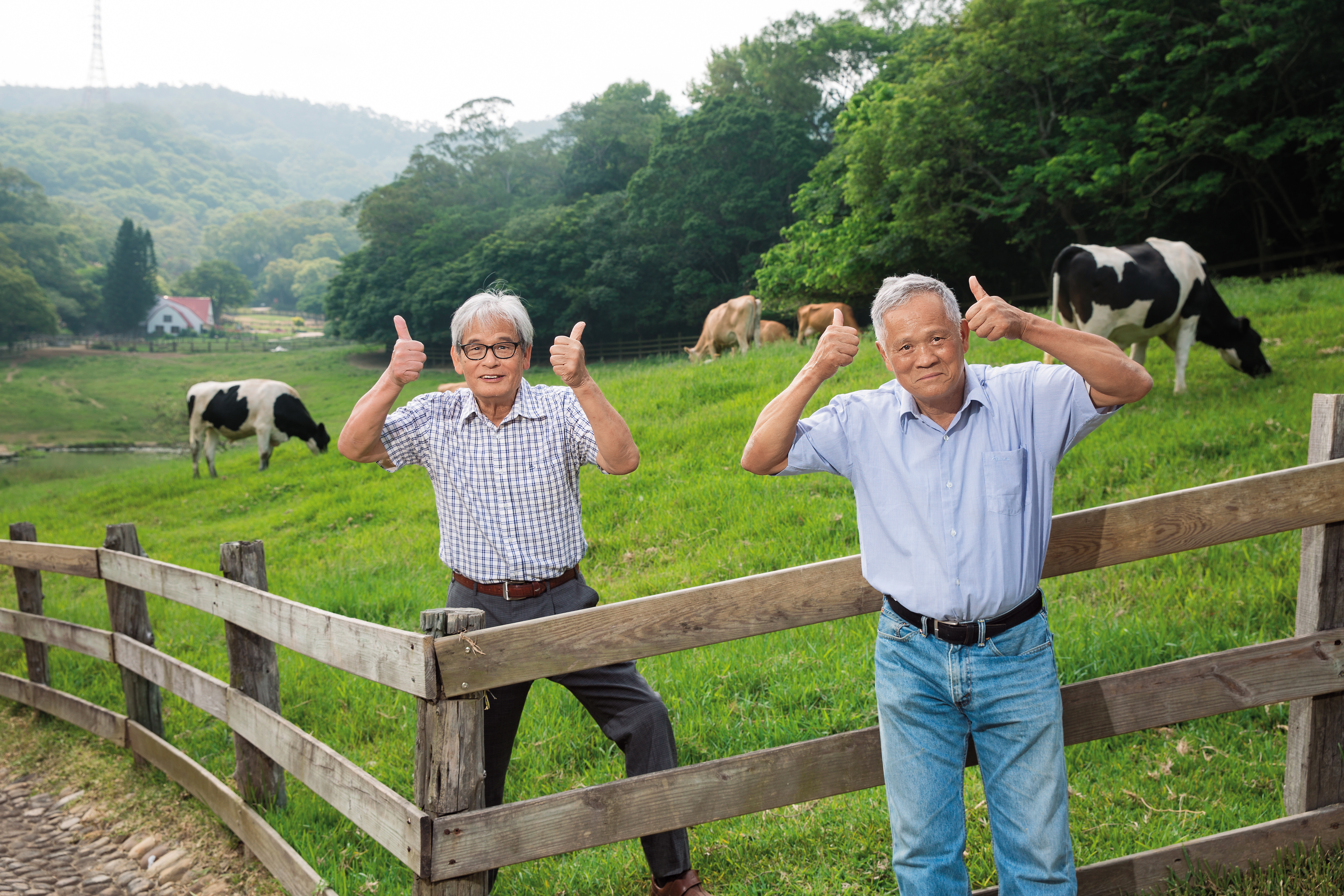 吳敦瑤（右）與施尚斌（左）是第一批公費赴美學習養牛的台青，返台後在苗栗通霄開墾中部青年酪農村，後轉型休閒觀光，打造飛牛牧場。