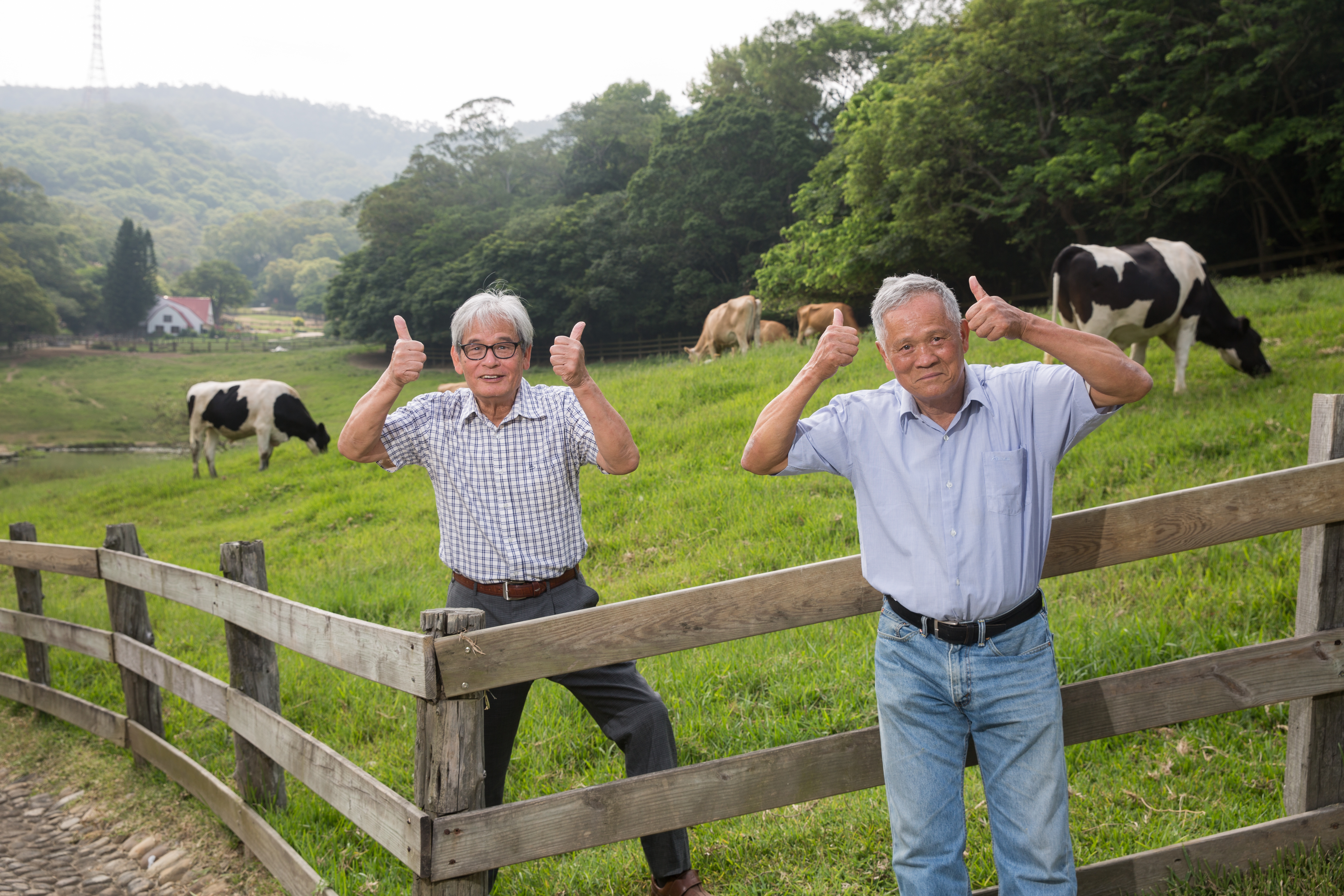 吳敦瑤（右）與施尚斌（左）是第一批公費赴美學習養牛青年，返台後在苗栗通霄開墾中部青年酪農村，後轉型休閒觀光，打造飛牛牧場。
