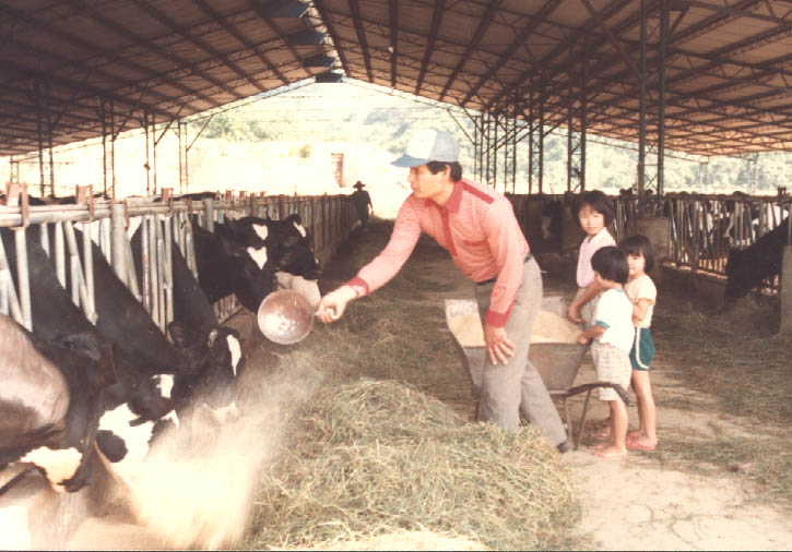施尚斌（左）靠養牛拉拔孩子長大，每個女兒一出生名下就有4頭牛，長大後繳不出學費，得靠賣牛變現。（飛牛牧場提供）
