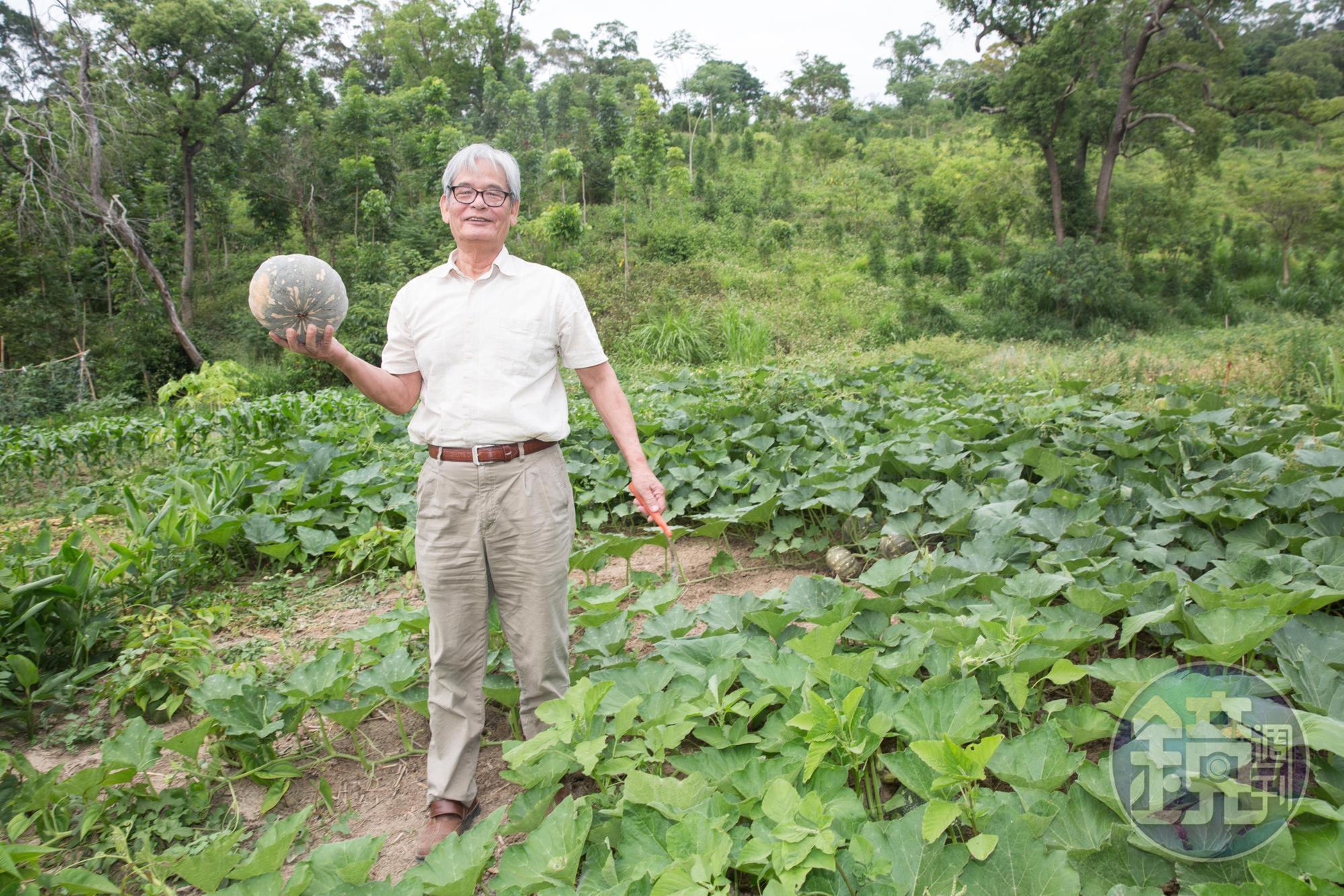 飛牛牧場主人施尚斌栽植的南瓜,成為餐廳食材來源之一。